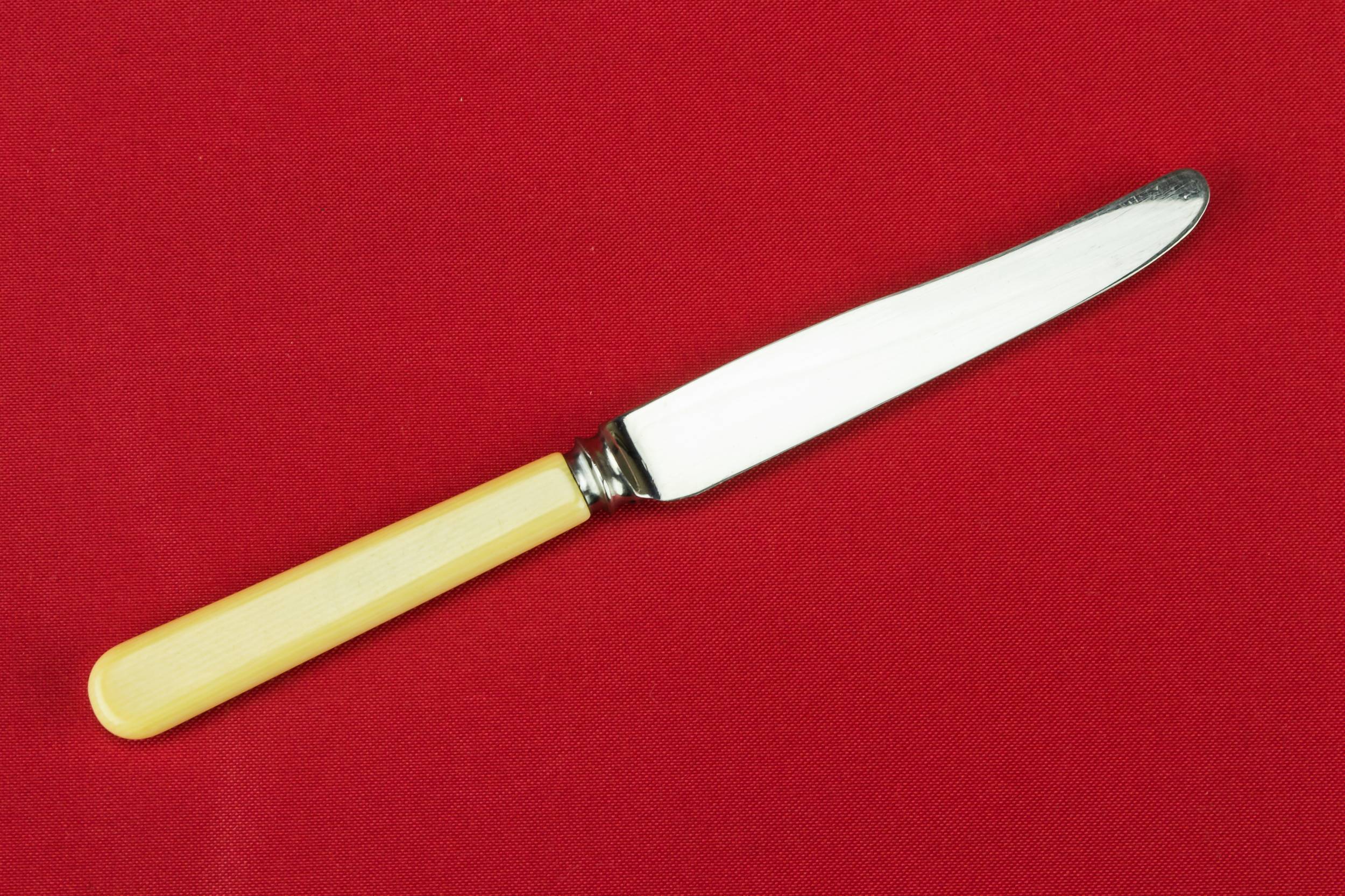 Vintage Classical Plastic — 6 dinner table butter knives 2
