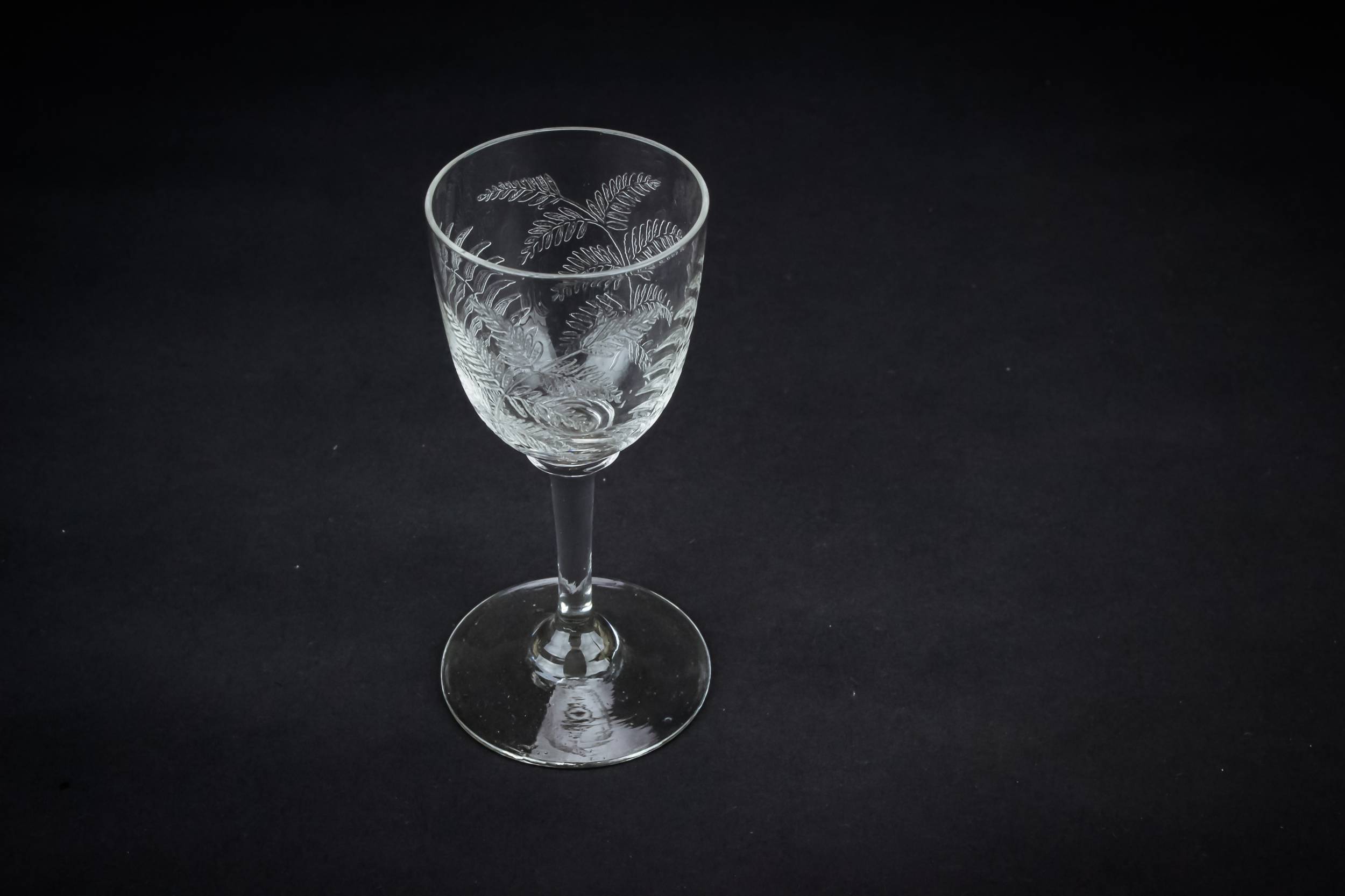 Clear Victorian Fern — Glass wine glass 2