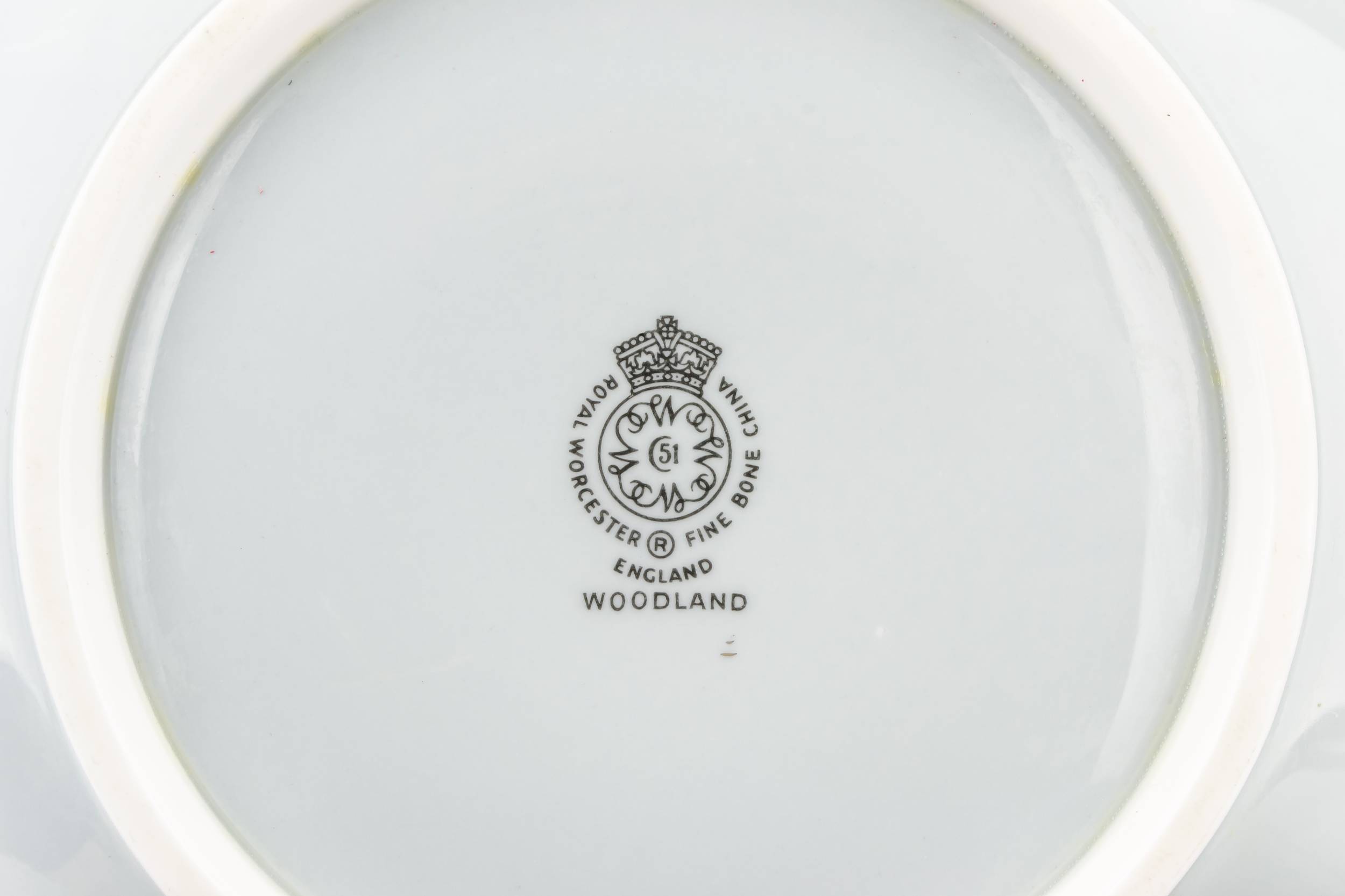 Mid-century Modern Luxurious — 6 dinner plates in pale blue 1