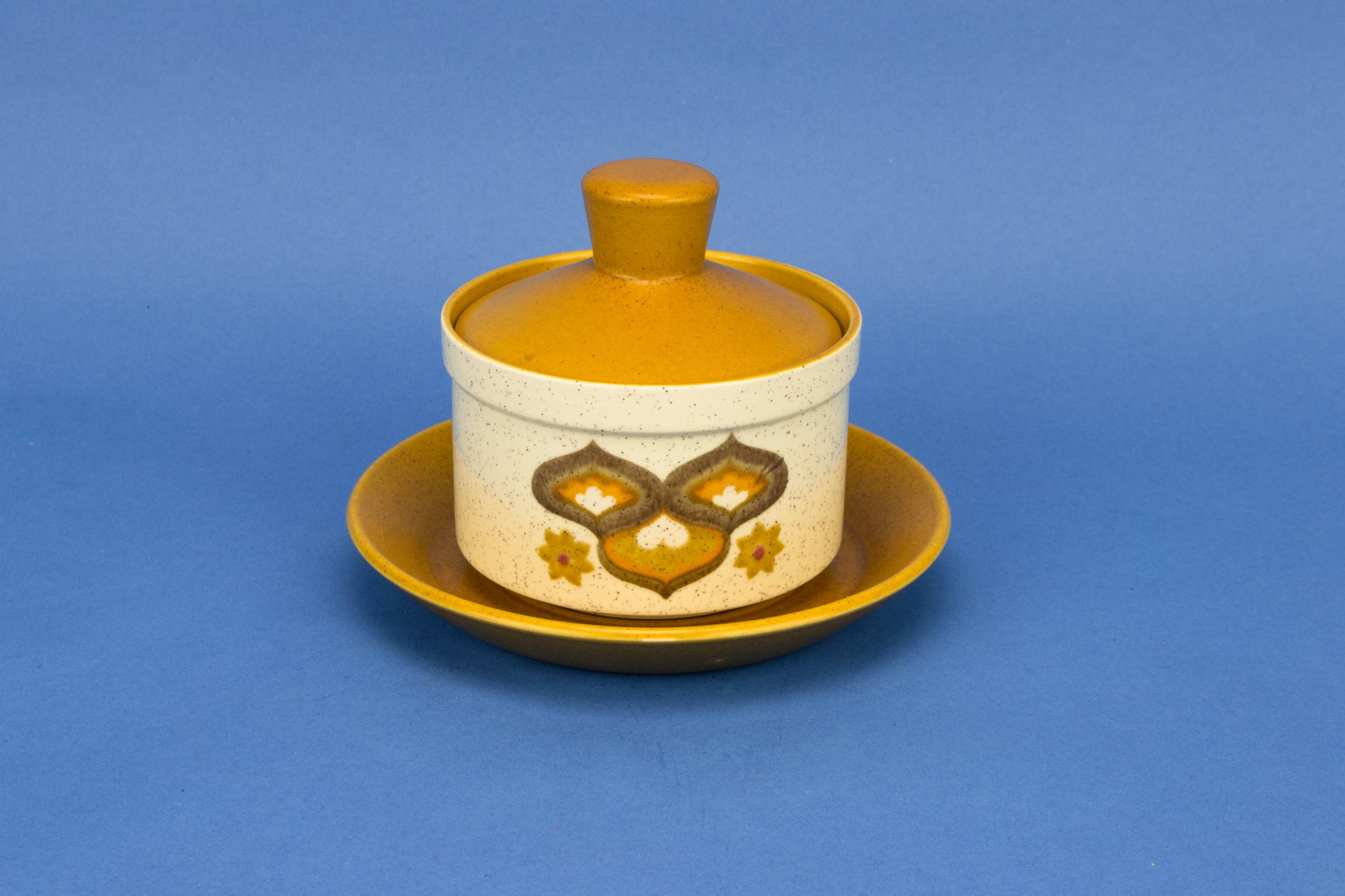 Vintage Yellow Medium — Saucer serving bowl on plate