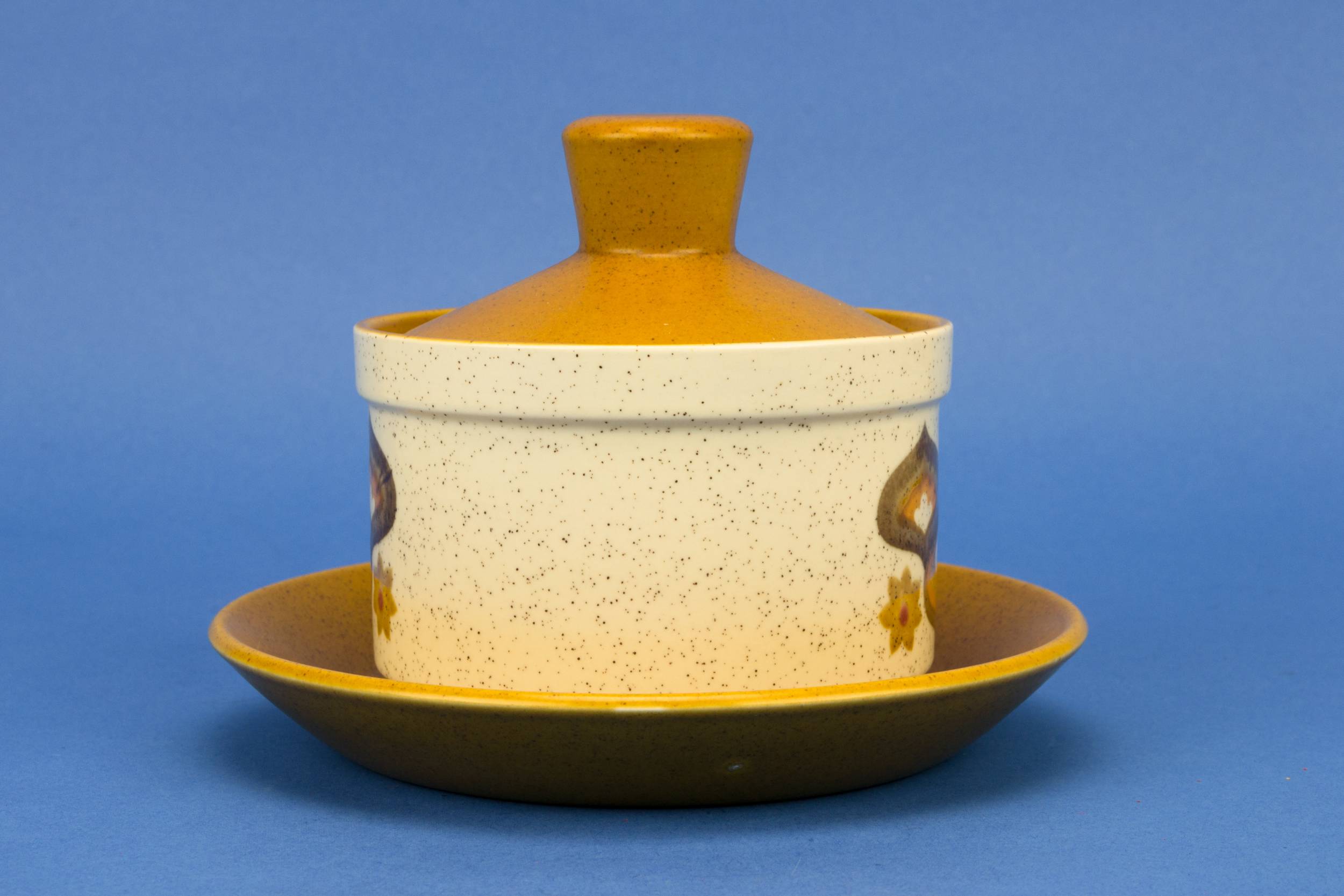 Vintage Yellow Medium — Saucer serving bowl on plate 1