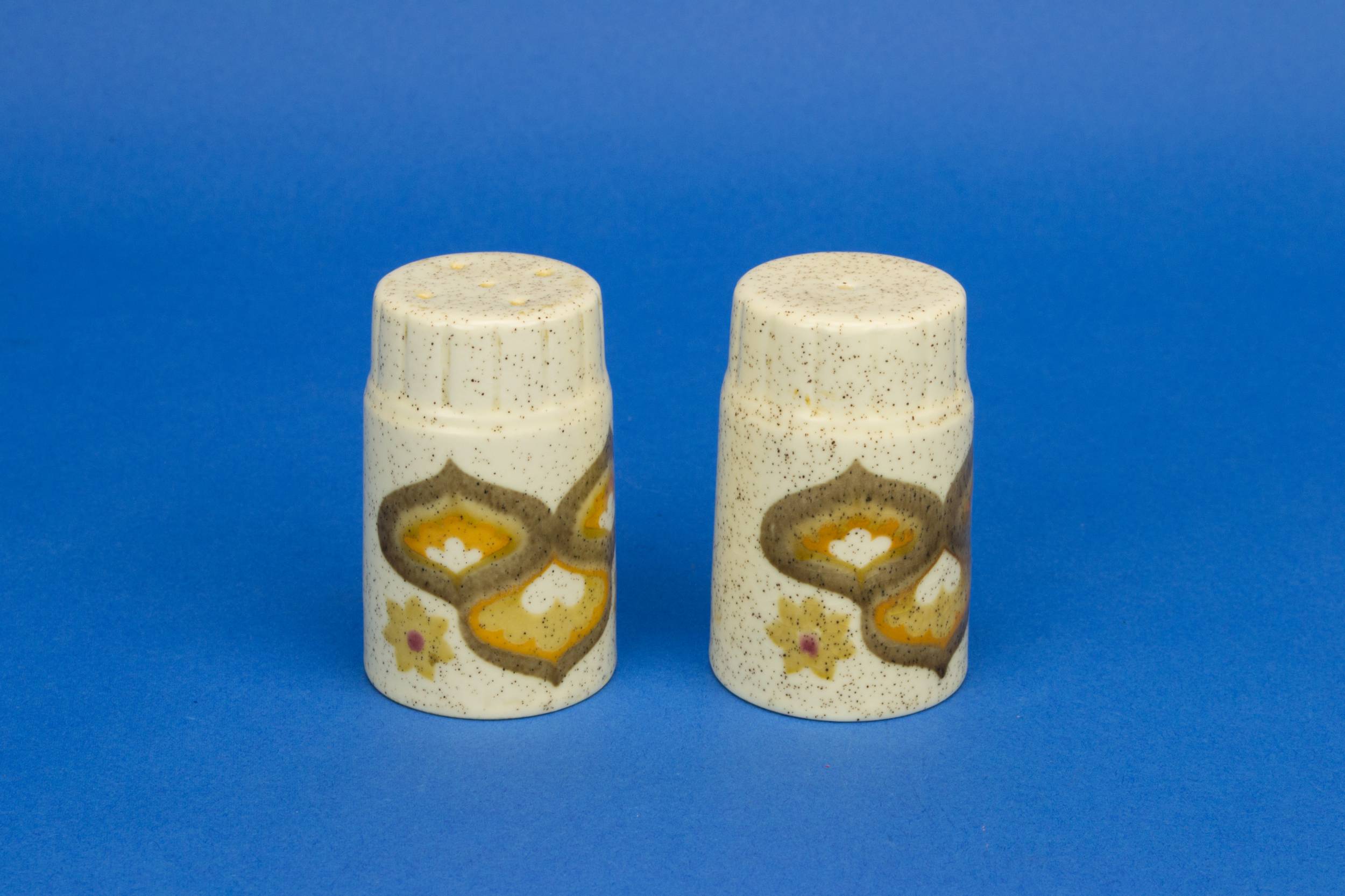 Modernist Elegant SALT — Salt and pepper shakers