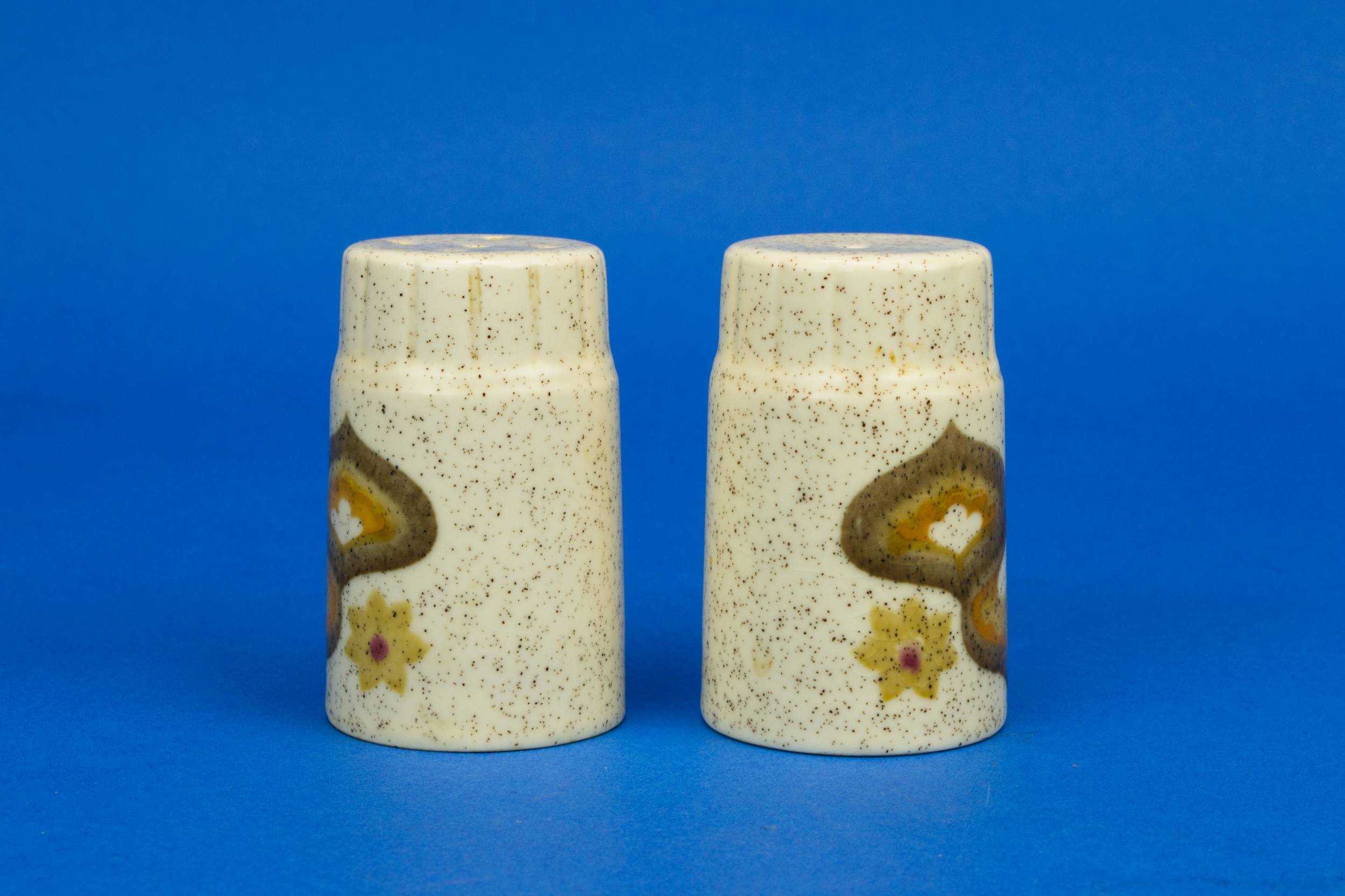 Modernist Elegant SALT — Salt and pepper shakers 1