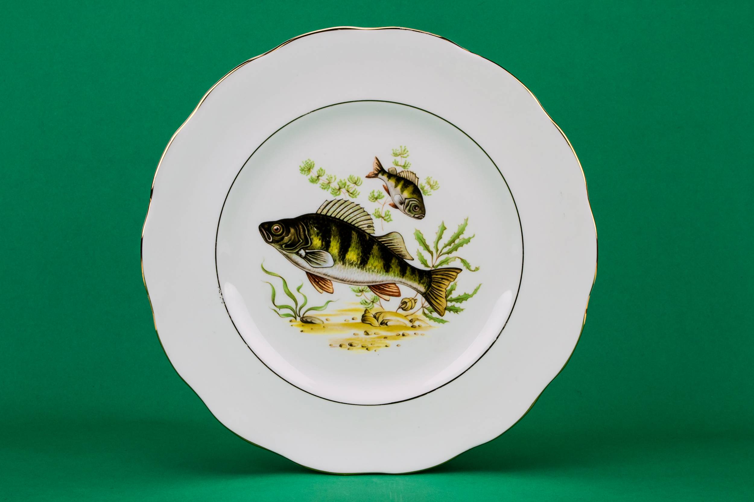 Vintage Green 10.4'' — 6 fish dinner plates 2