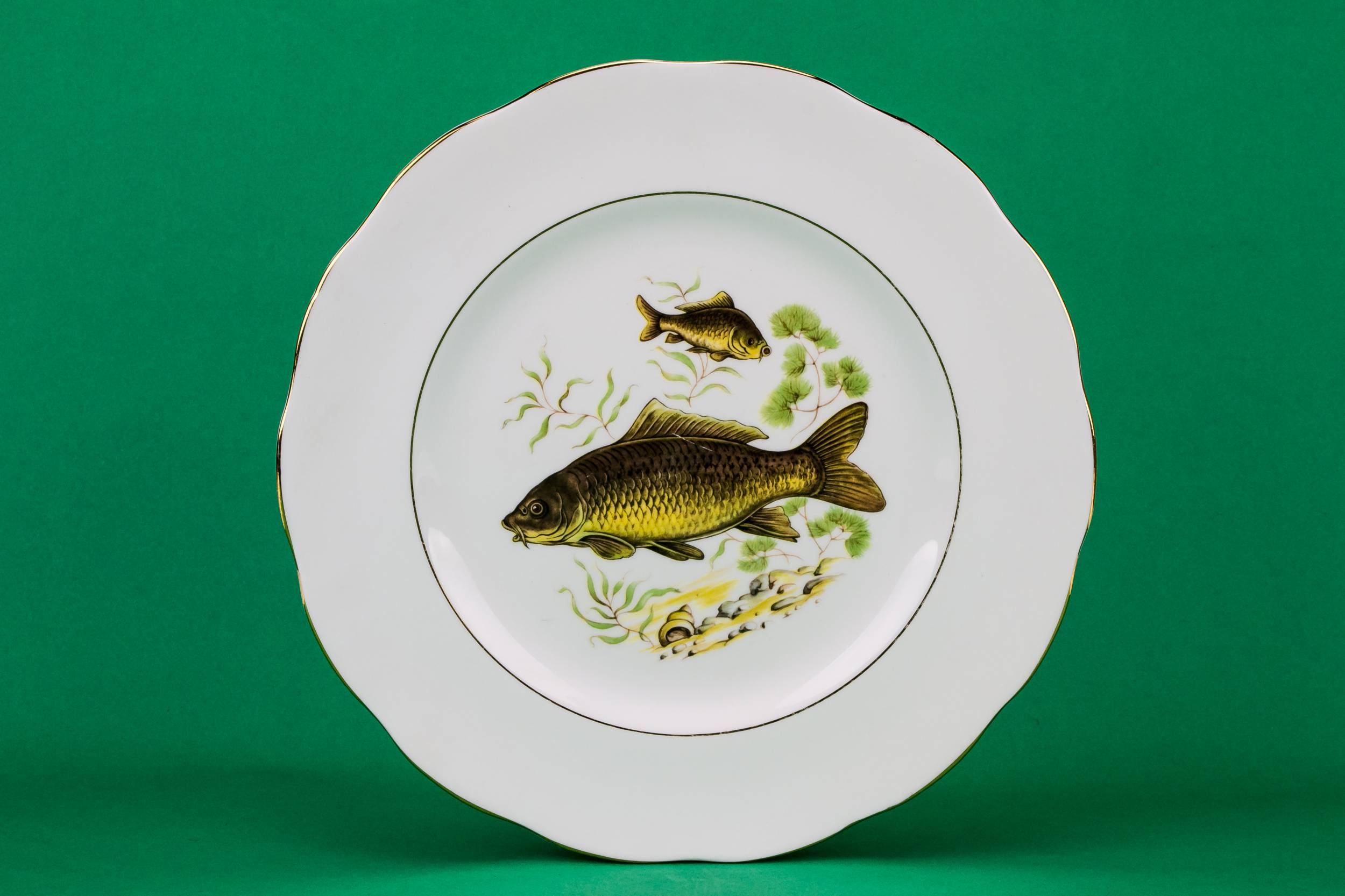 Vintage Green 10.4'' — 6 fish dinner plates 1