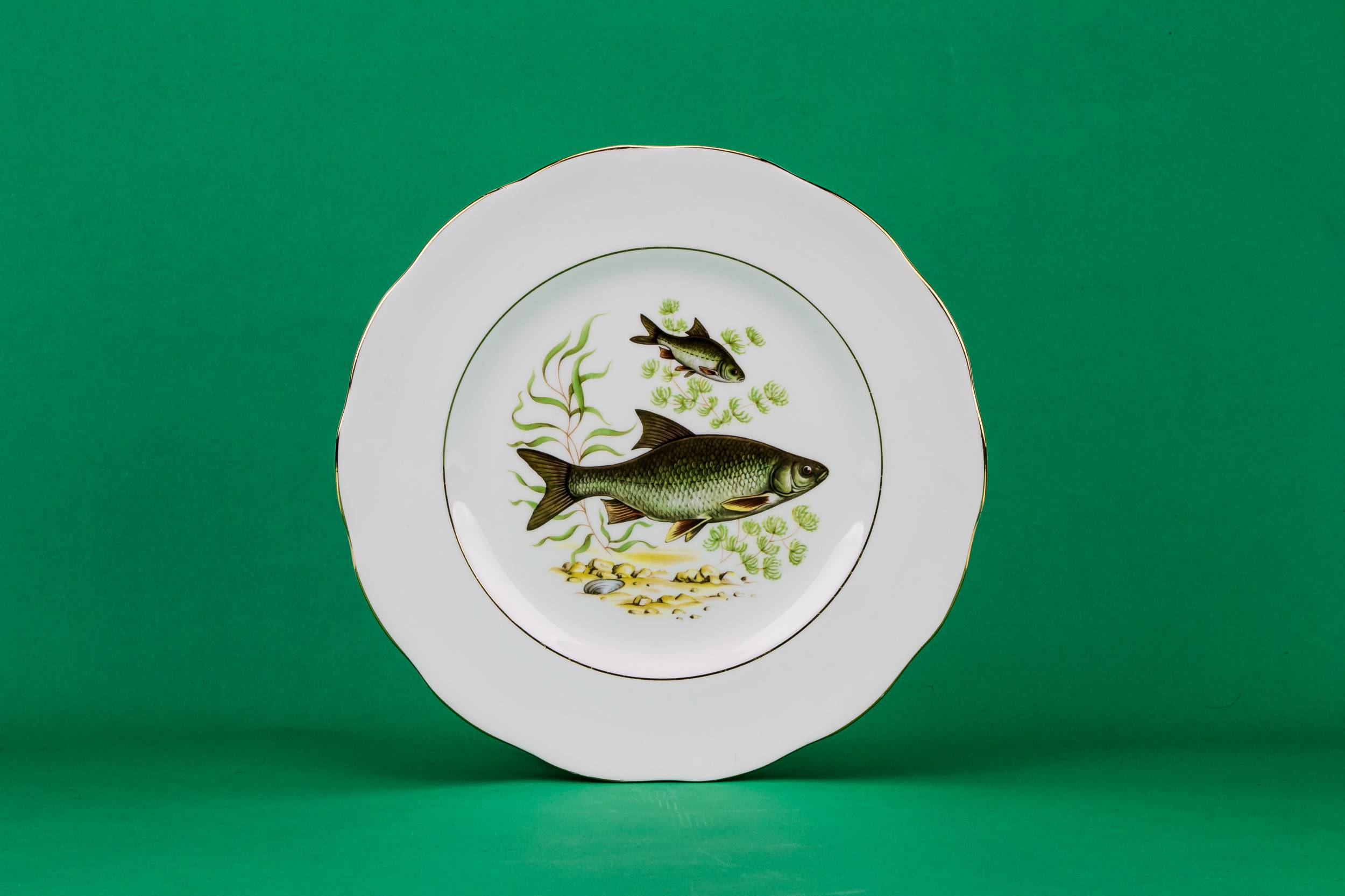 Vintage Green 10.4'' — 6 fish dinner plates 3