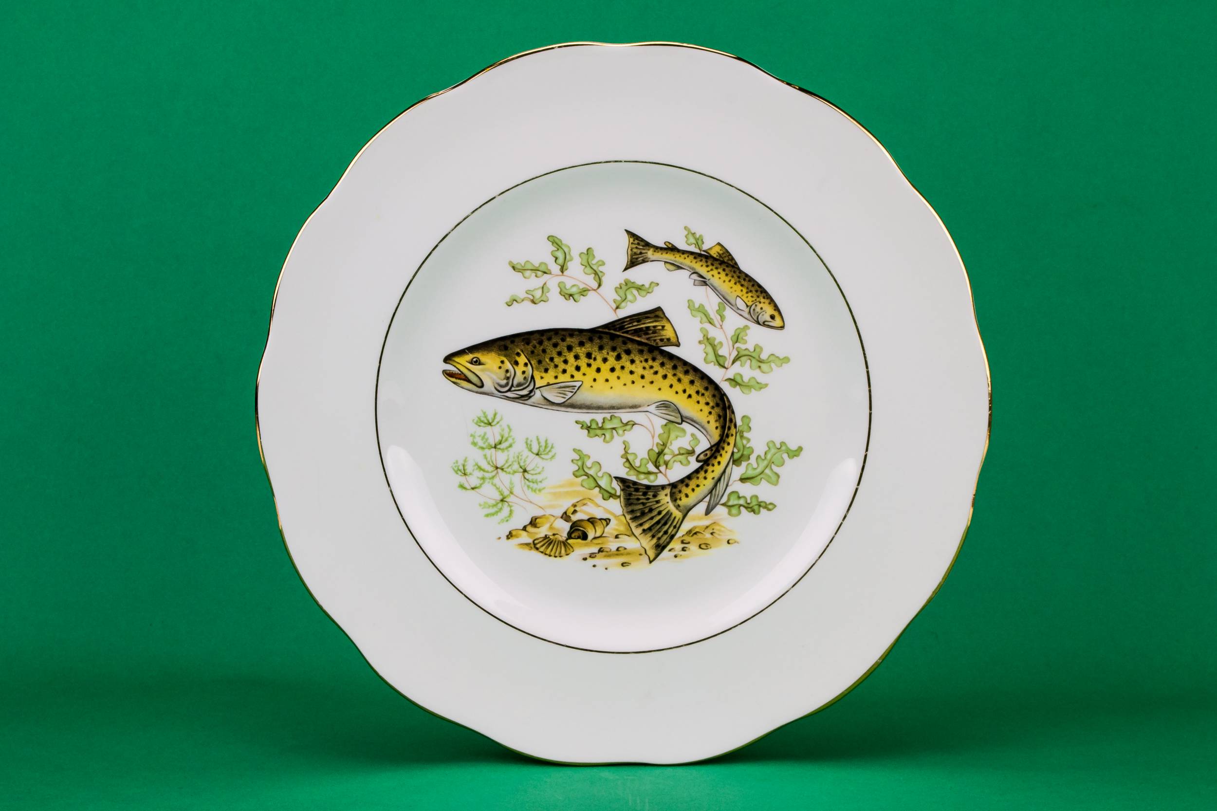Vintage Green 10.4'' — 6 fish dinner plates 4