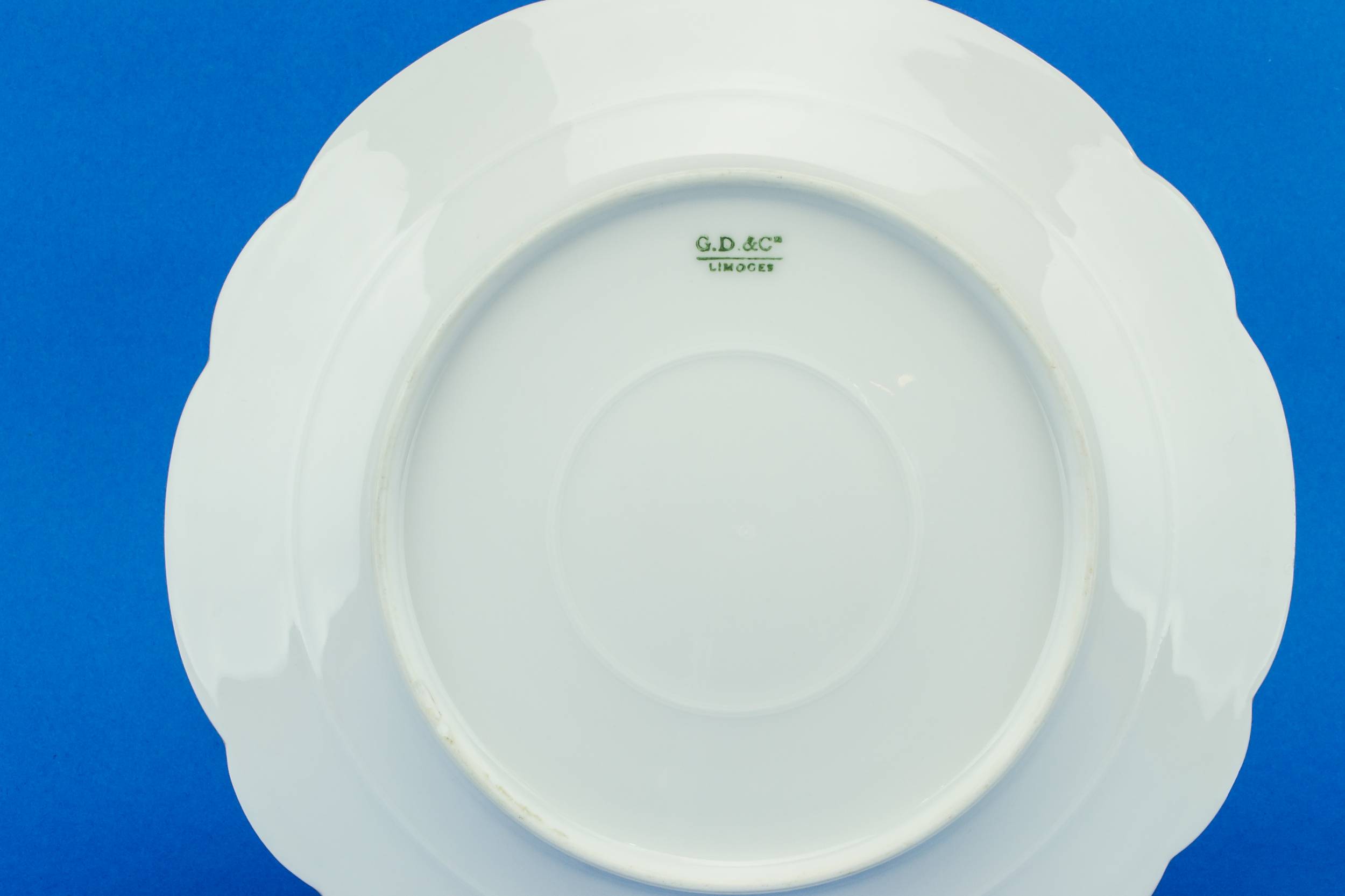 Porcelain Dinner Plates — 10 Limoges dinner plates 1