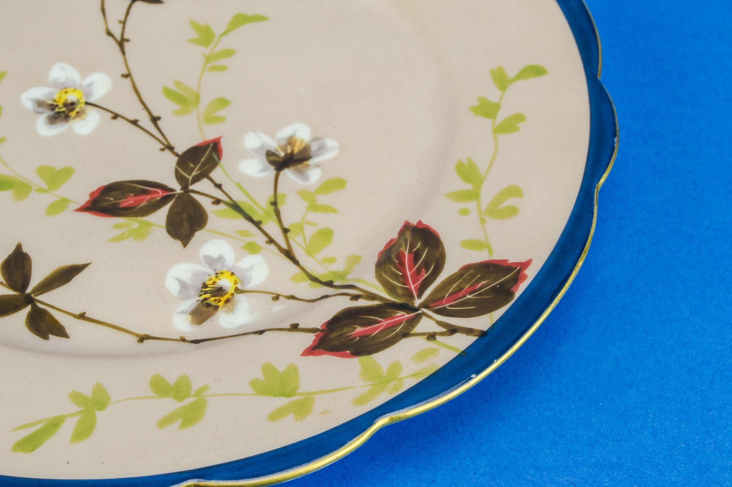 Porcelain Dinner Plates — 10 Limoges dinner plates 2
