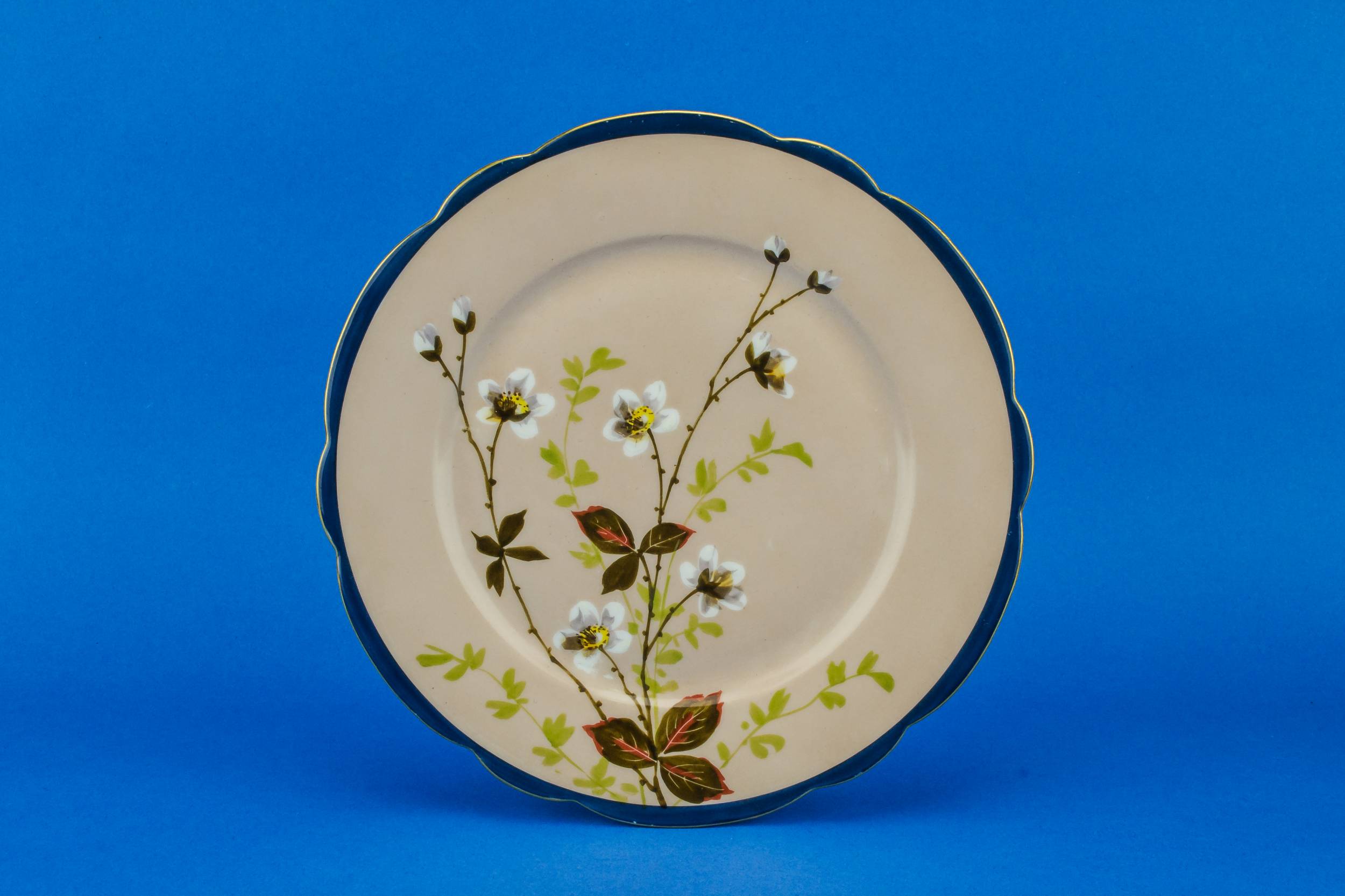 Porcelain Dinner Plates — 10 Limoges dinner plates