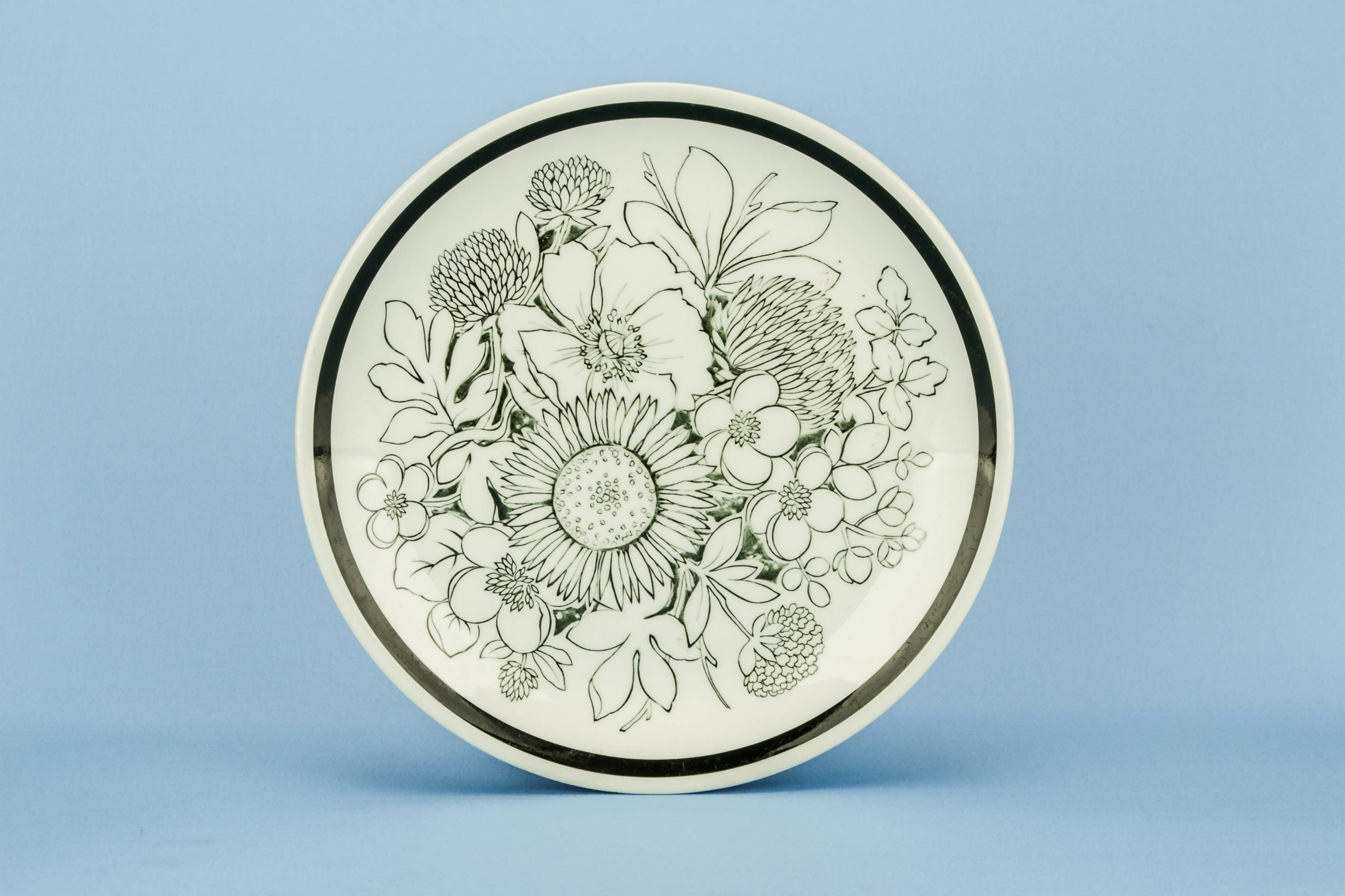 Bold Design Modernist — 5 bold design plates