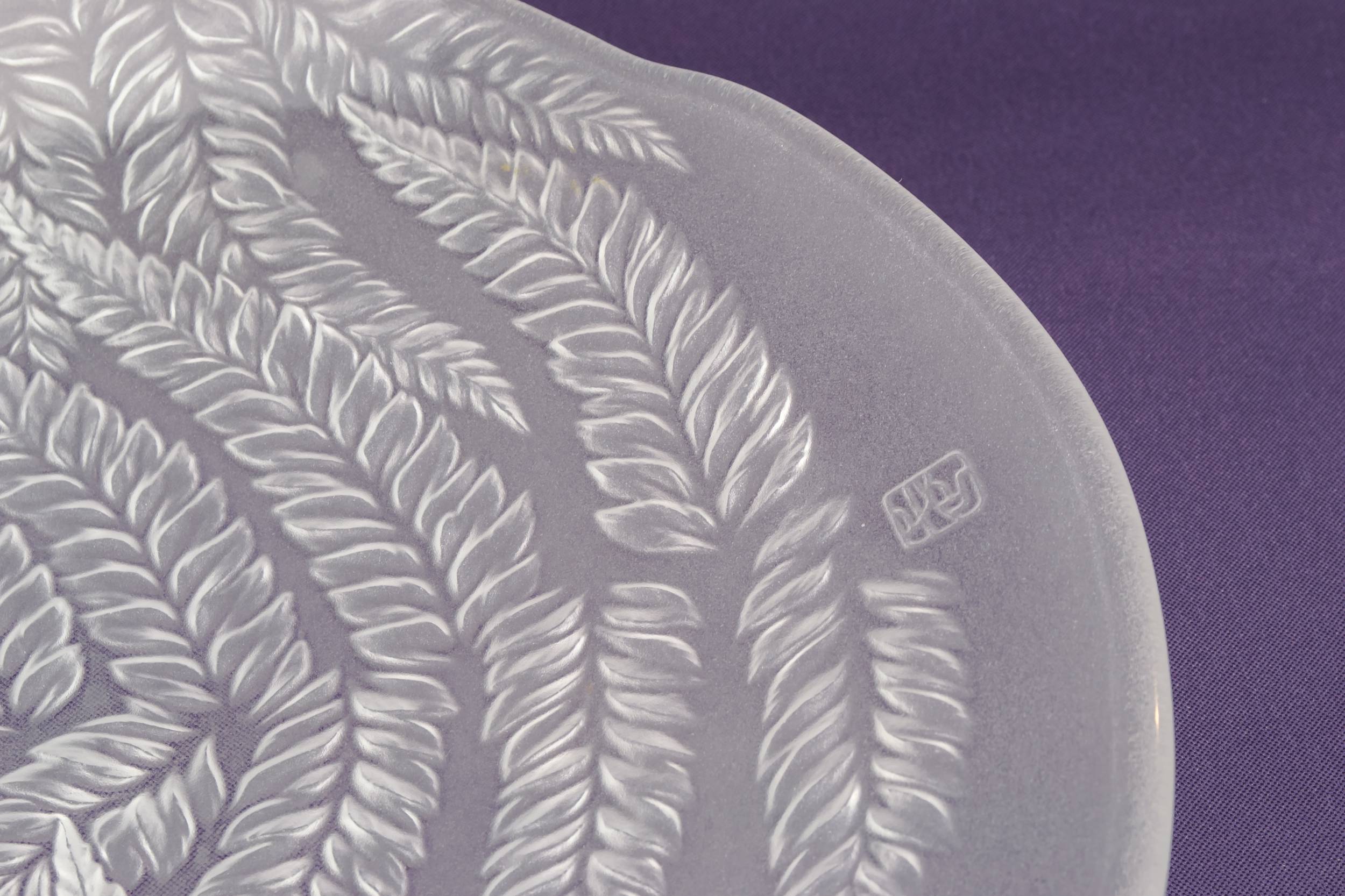 Glass Modernist Fern — Hoya fern glass bowl 2