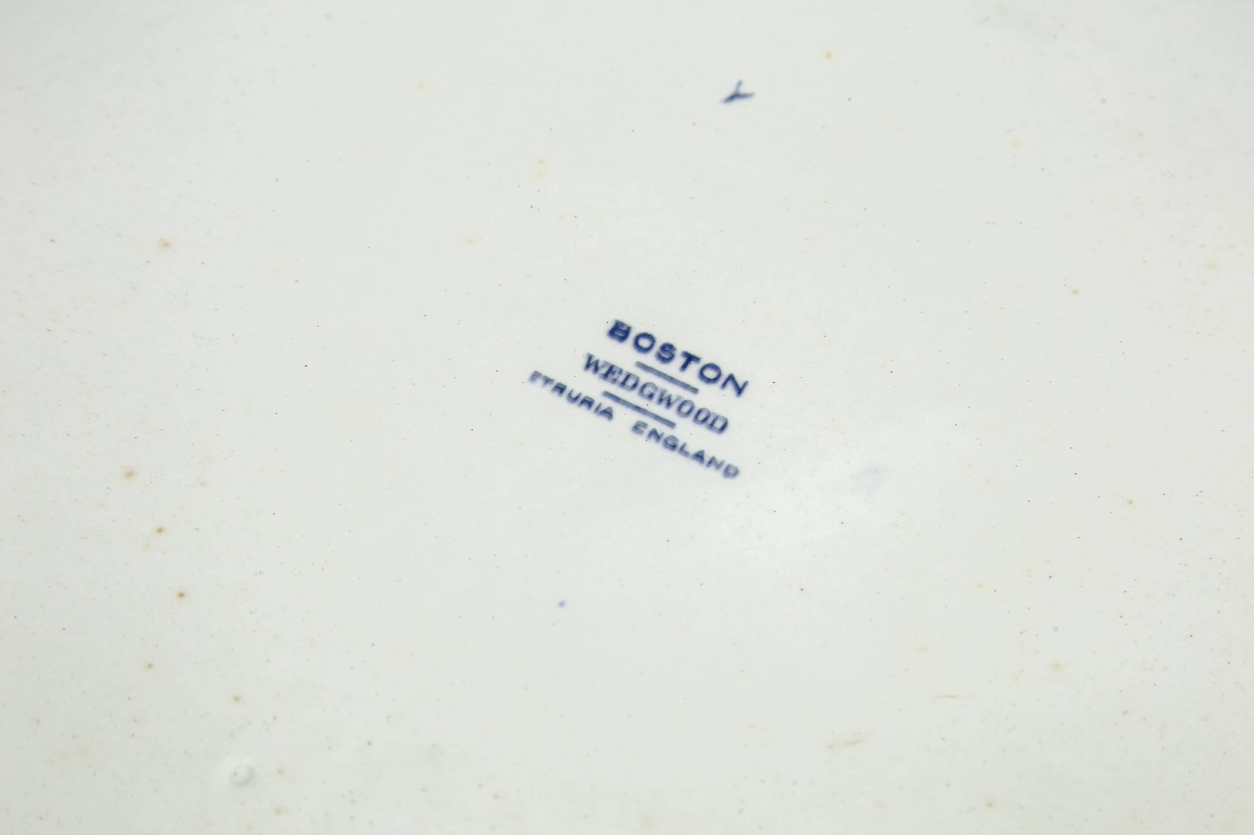 Neo-classical Elegant Stylised — Wedgwood serving platter 1