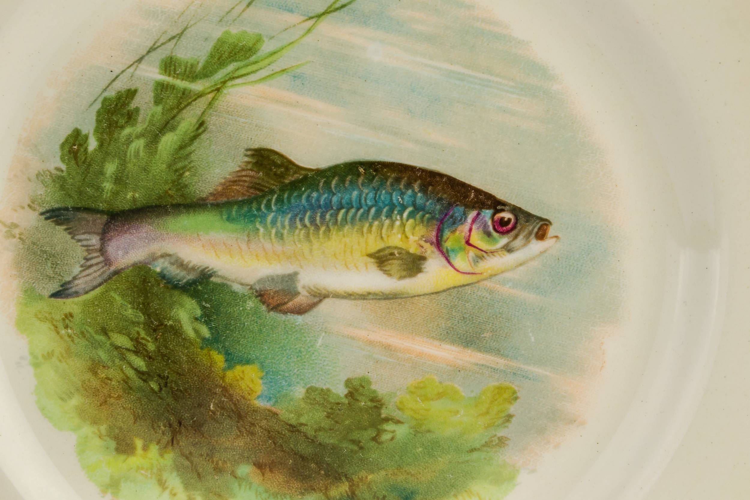 Mid-century Modern Vintage — 6 fish ceramic plates 1