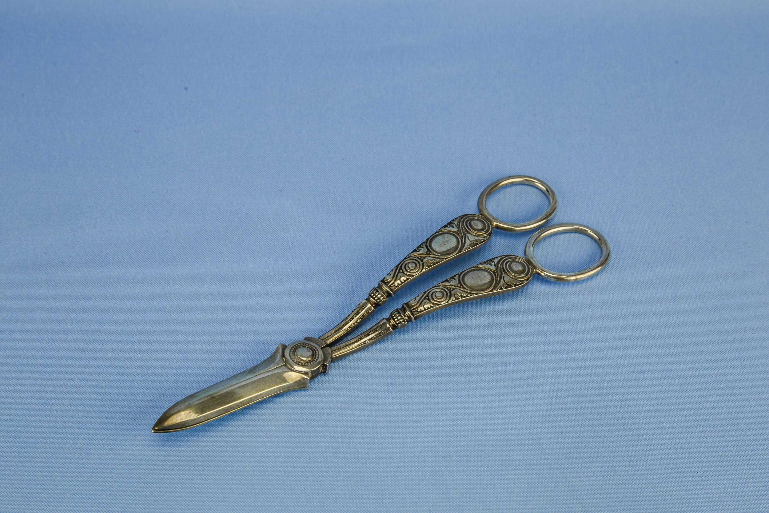 Antique Elegant Stylised — Elegant grape shears