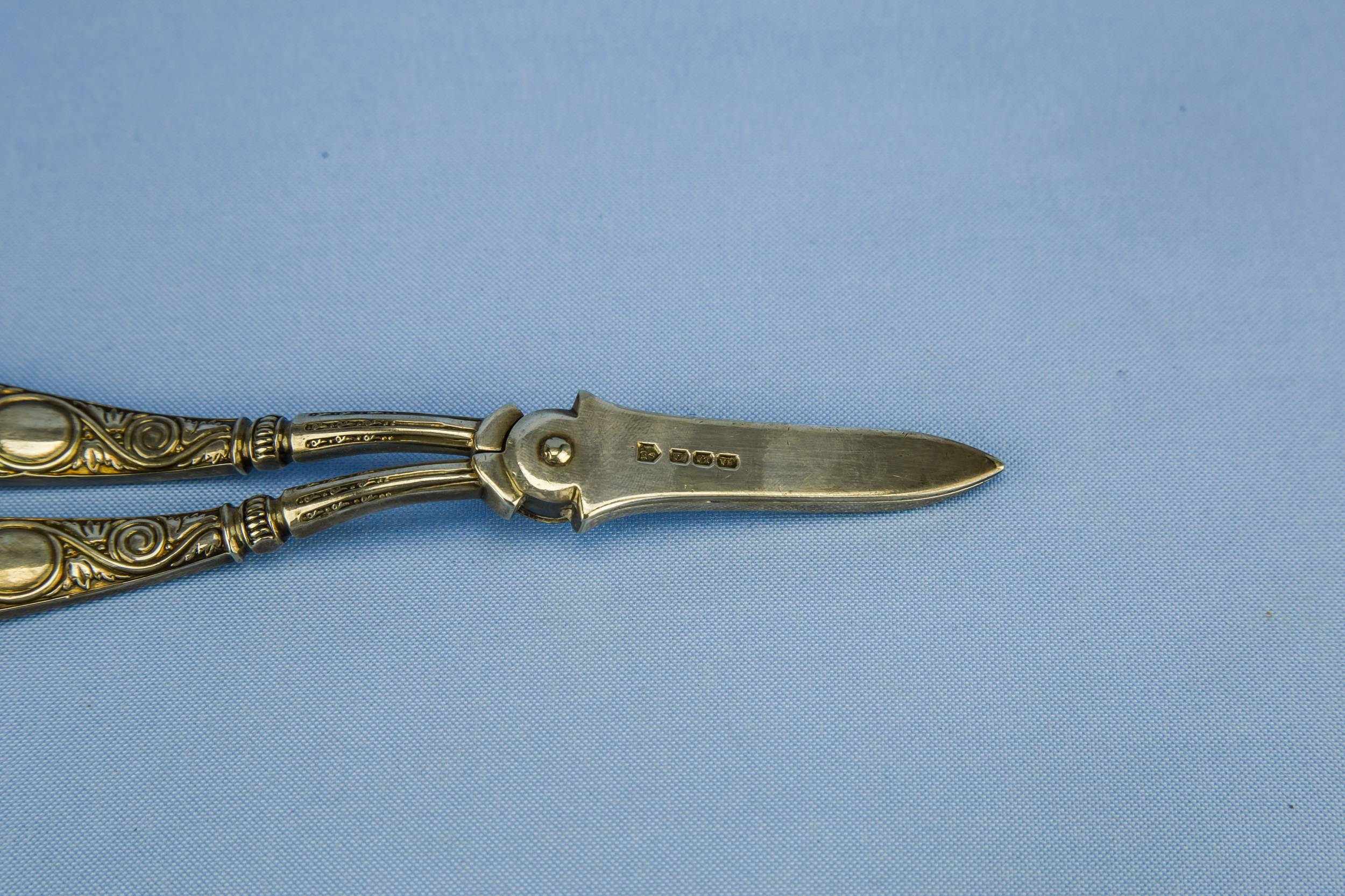 Antique Elegant Stylised — Elegant grape shears 2