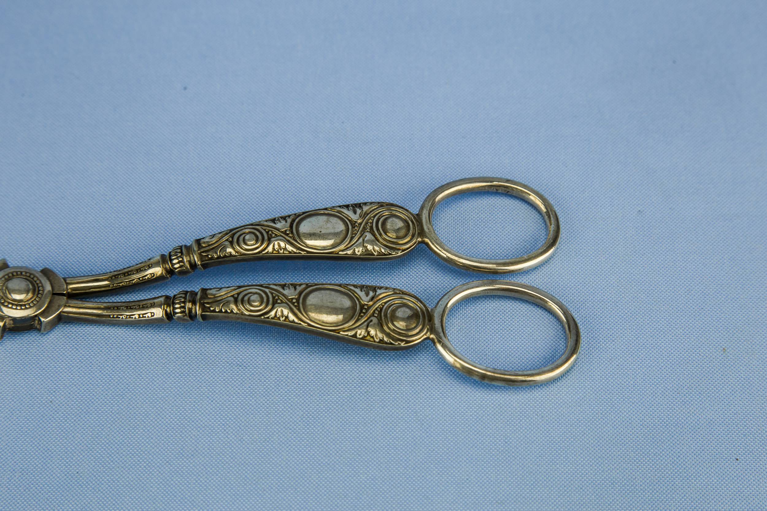 Antique Elegant Stylised — Elegant grape shears 3