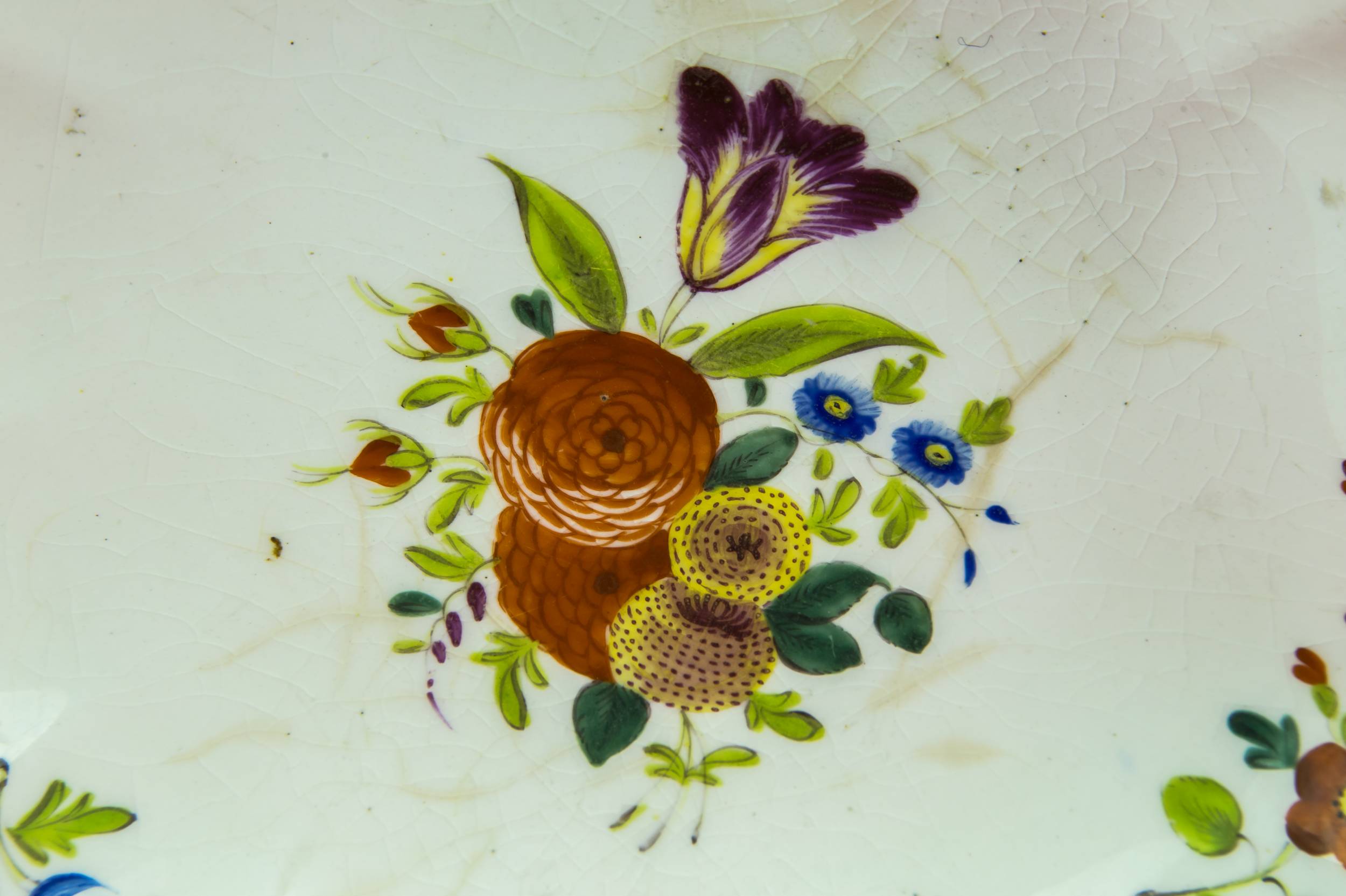 Attractive Ceramic 9.1'' — Serving shell plate 2