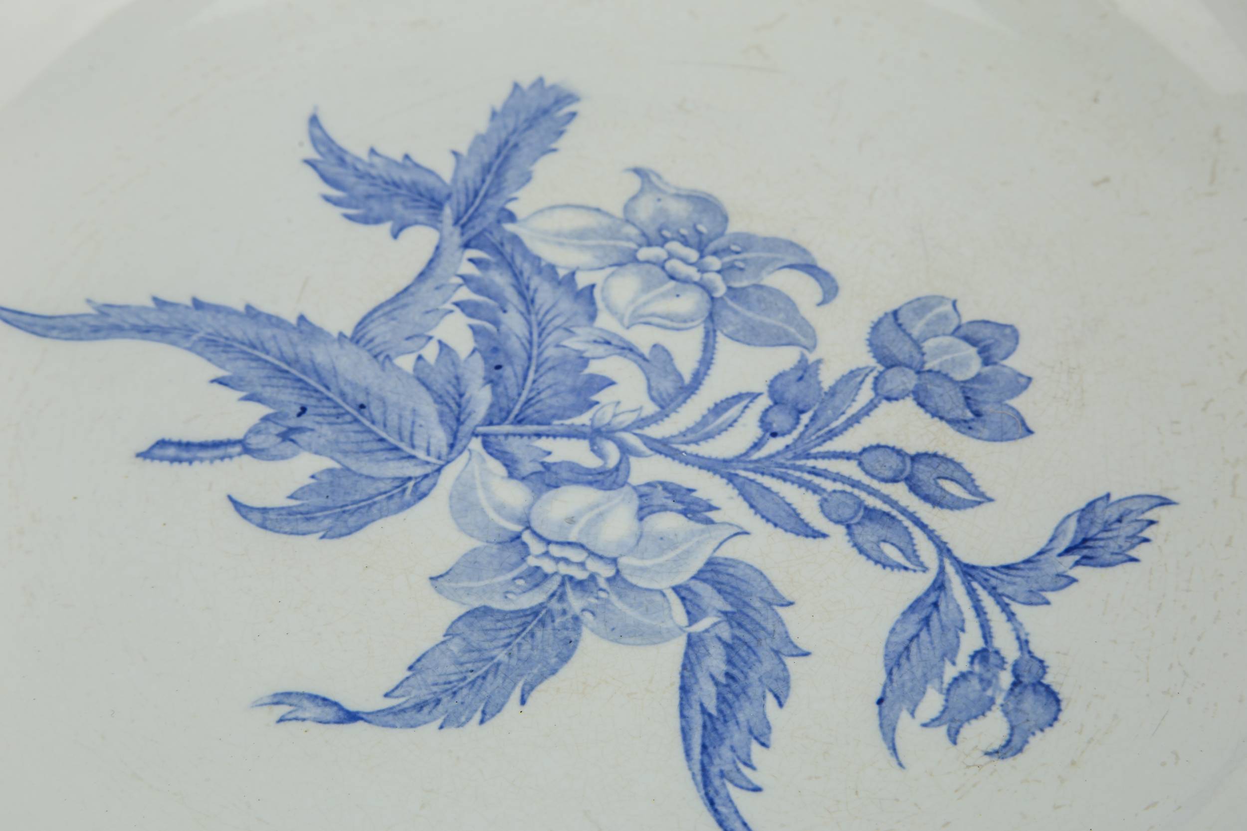 Opulent Vintage Dish — Large Spode pottery bowl 2