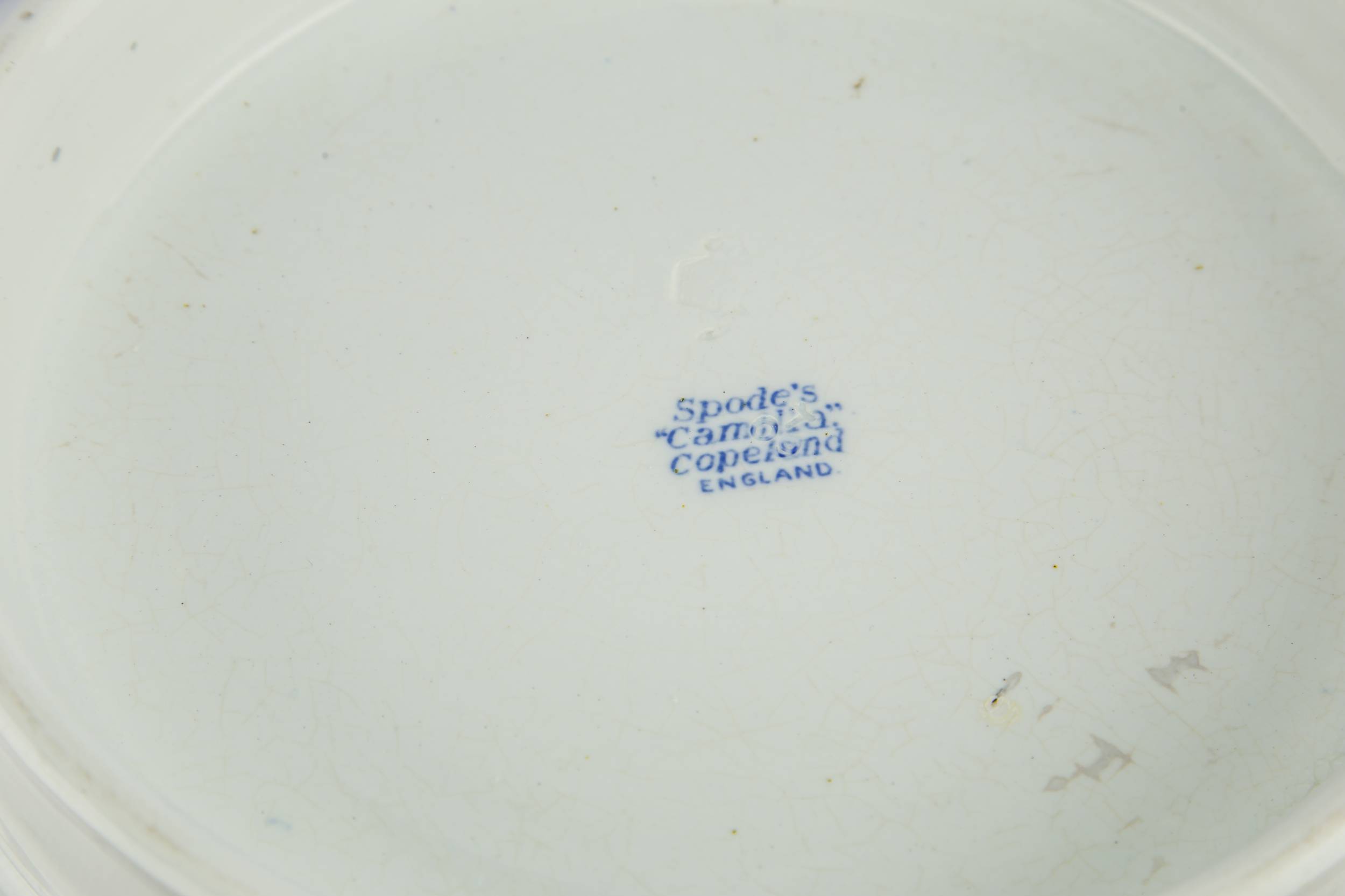 Opulent Vintage Dish — Large Spode pottery bowl 4