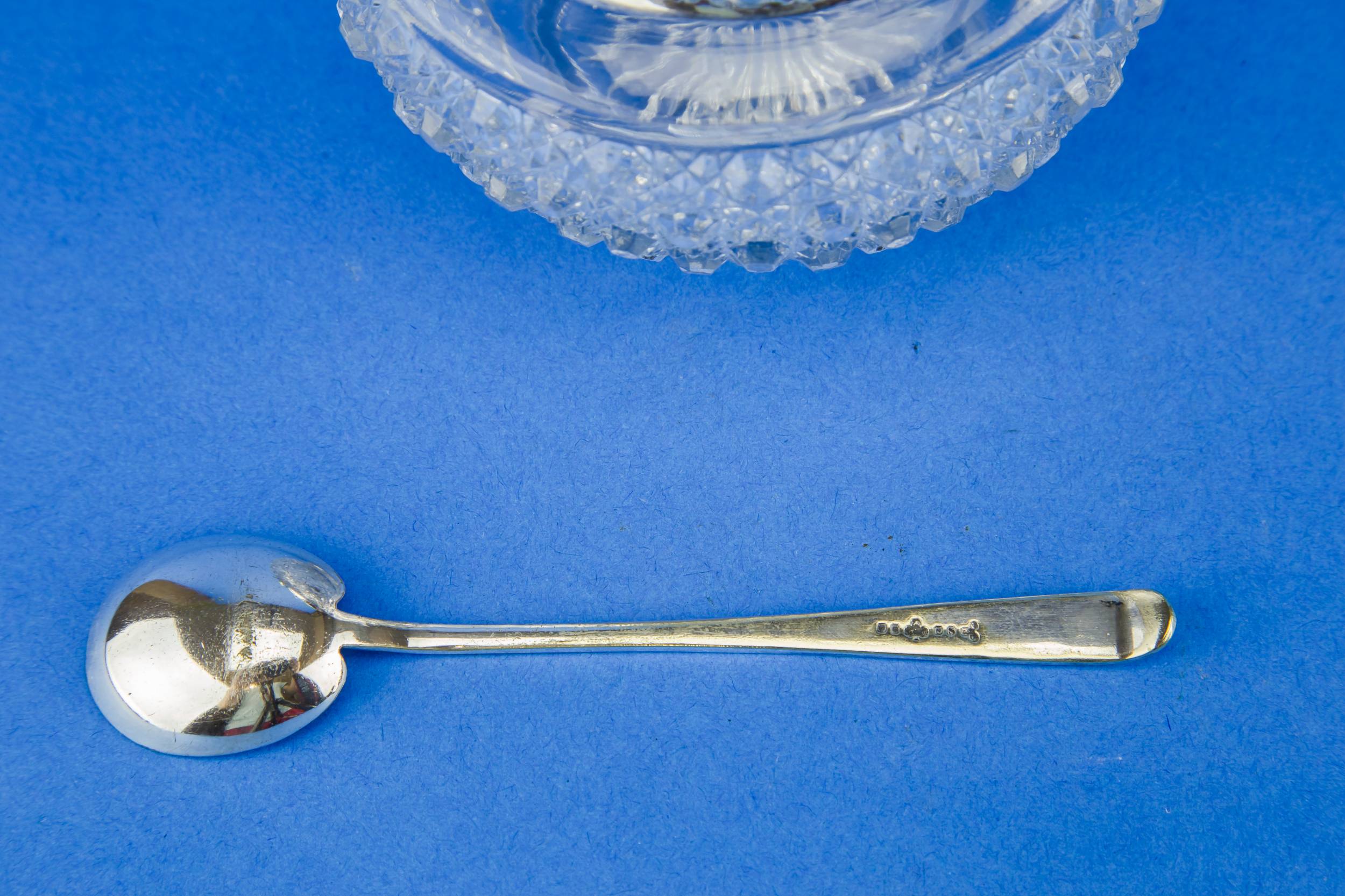 Cut Glass Silver — Condiment pot and spoon 2