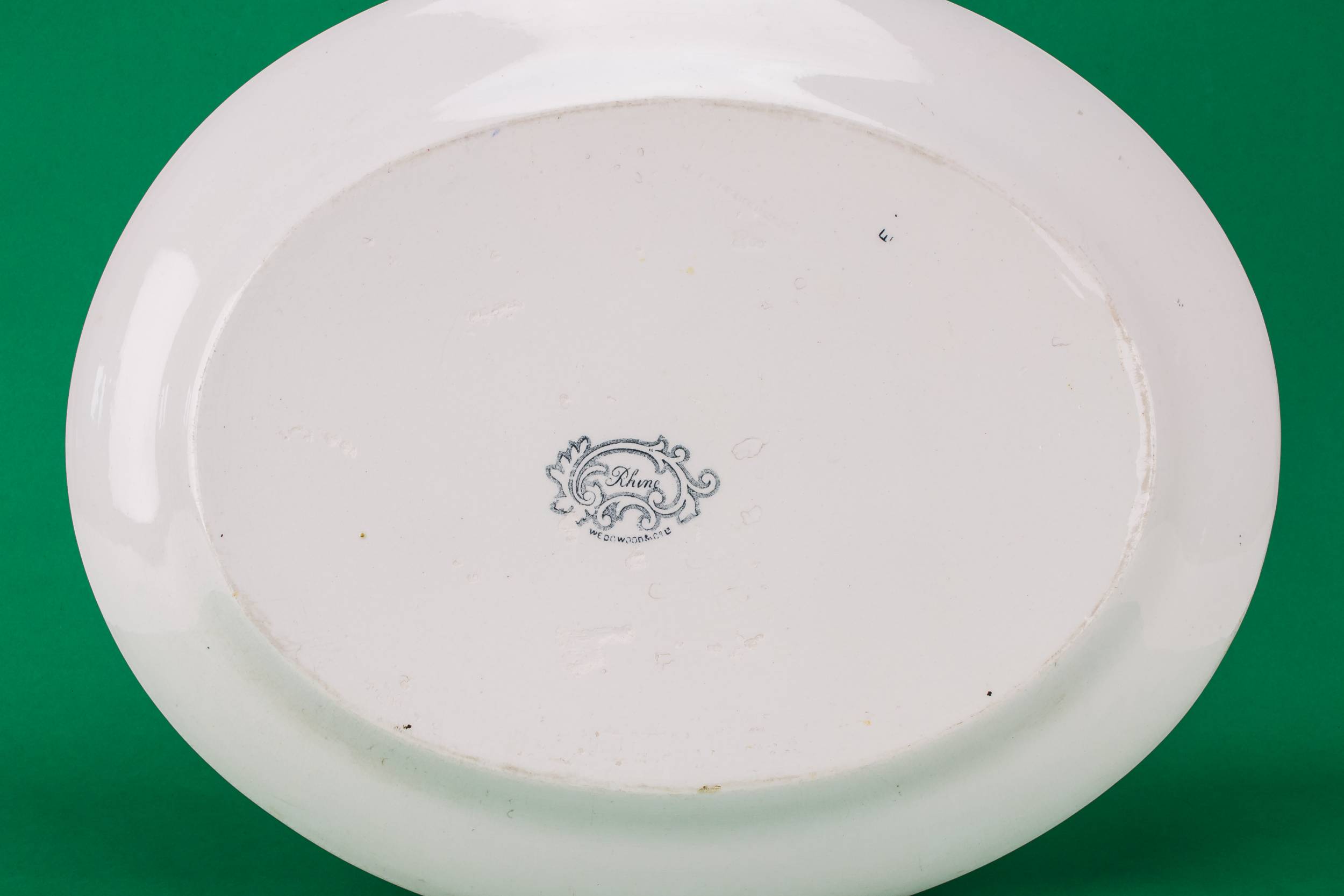 Antique Opulent Rhine — High Victorian pottery platter 2