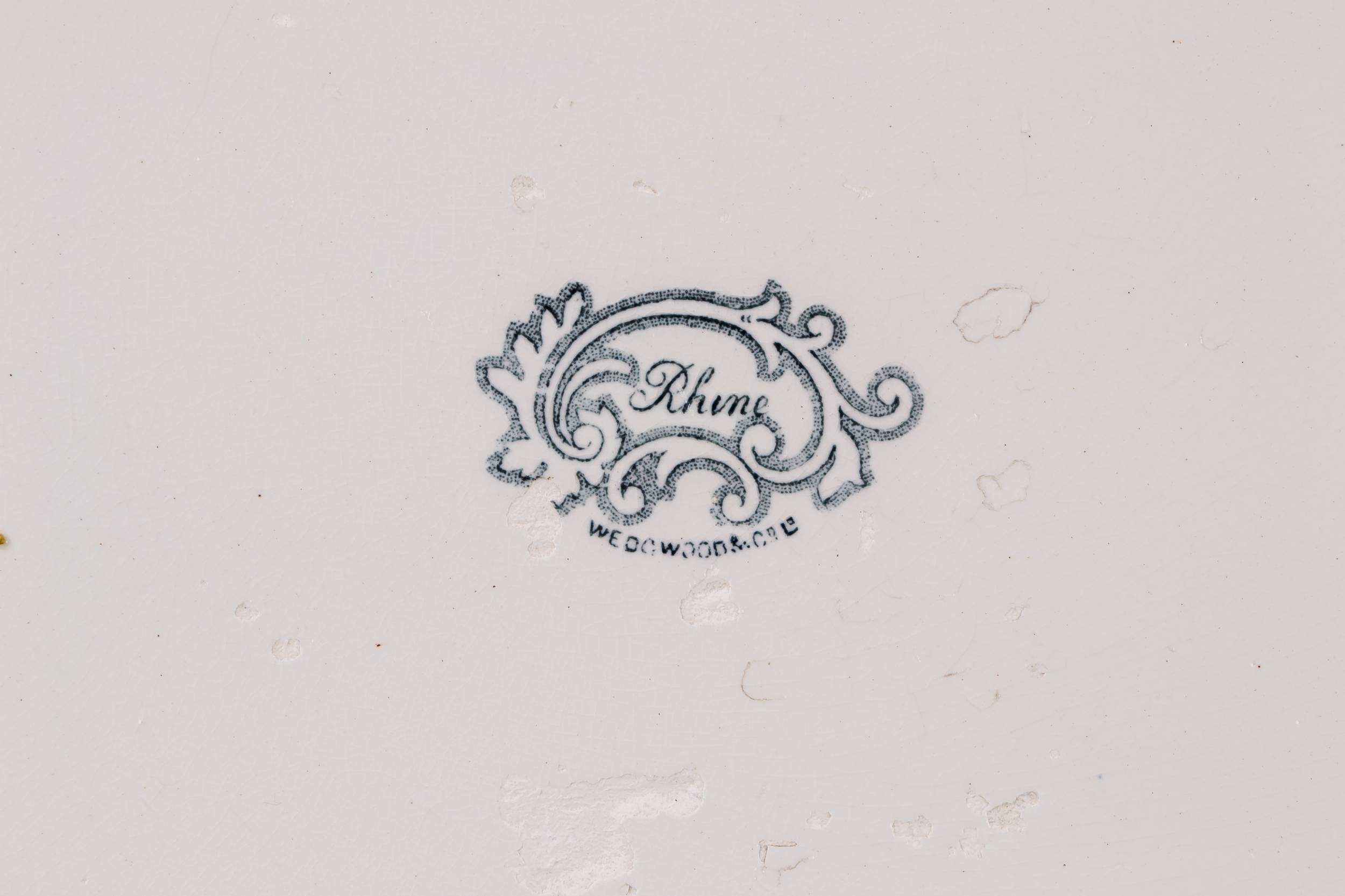 Antique Opulent Rhine — High Victorian pottery platter 3