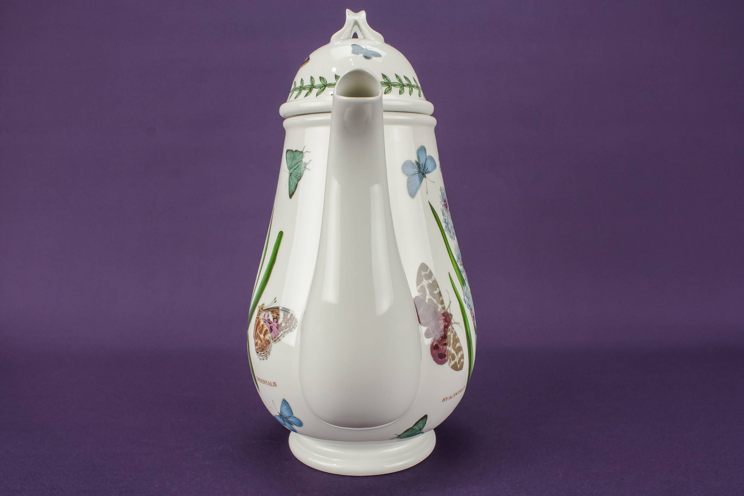 Retro Vintage Botanic — Portmeirion pottery coffee pot 5