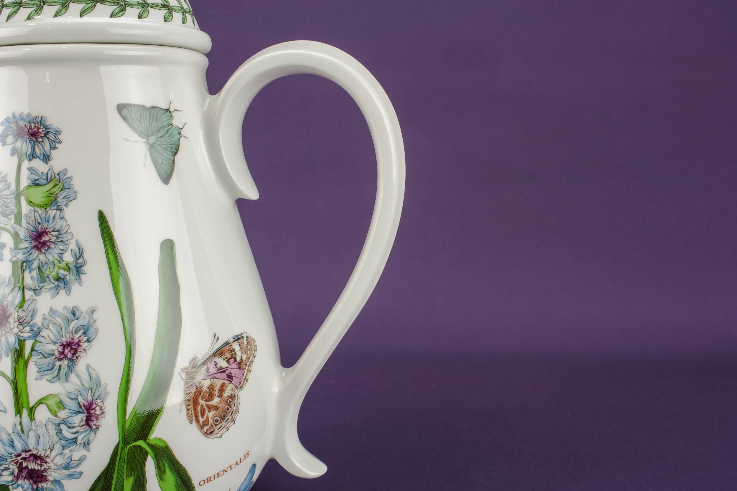 Retro Vintage Botanic — Portmeirion pottery coffee pot 4