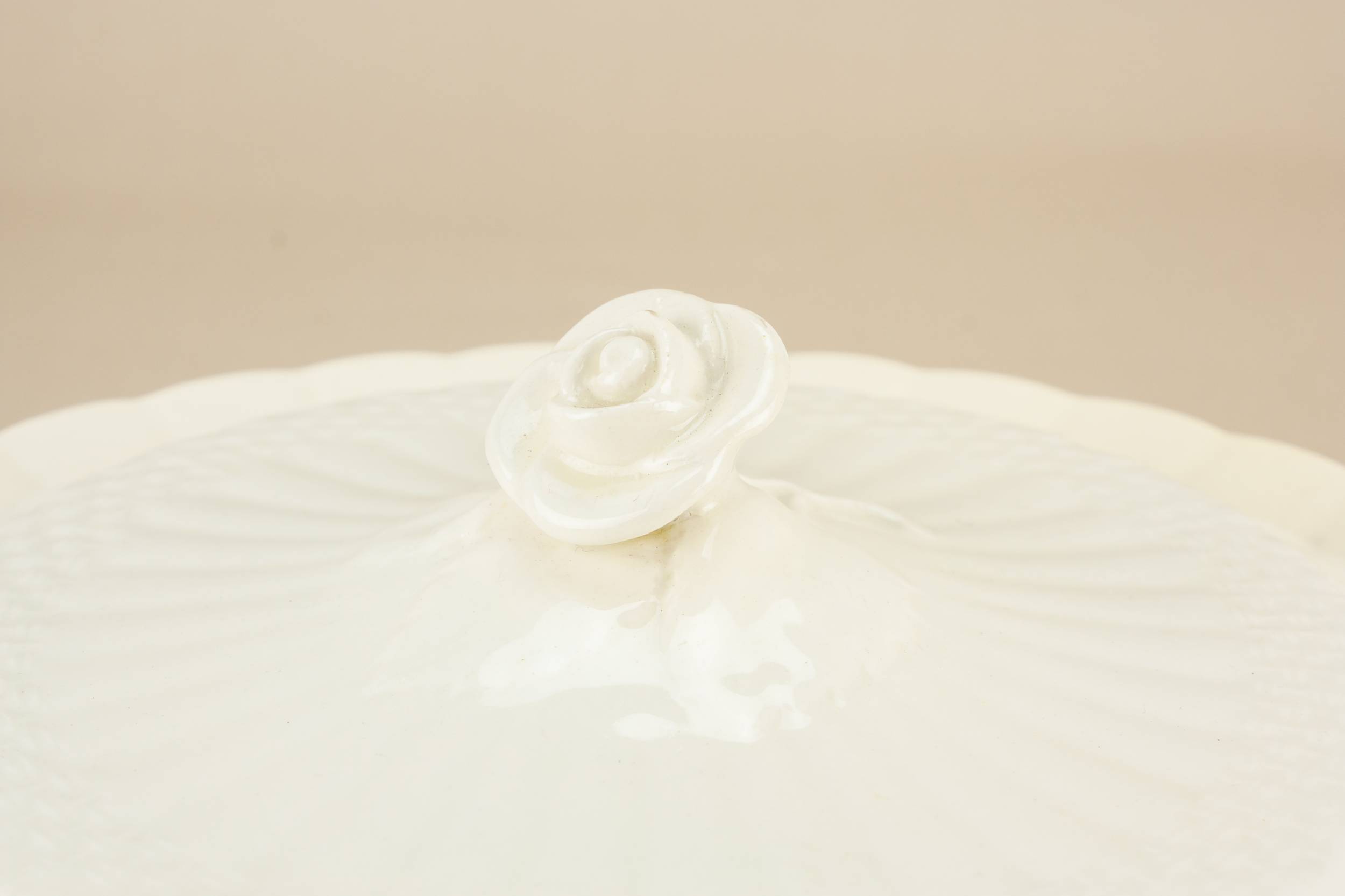 Vintage Festive Roses — Traditional pottery tureen 2
