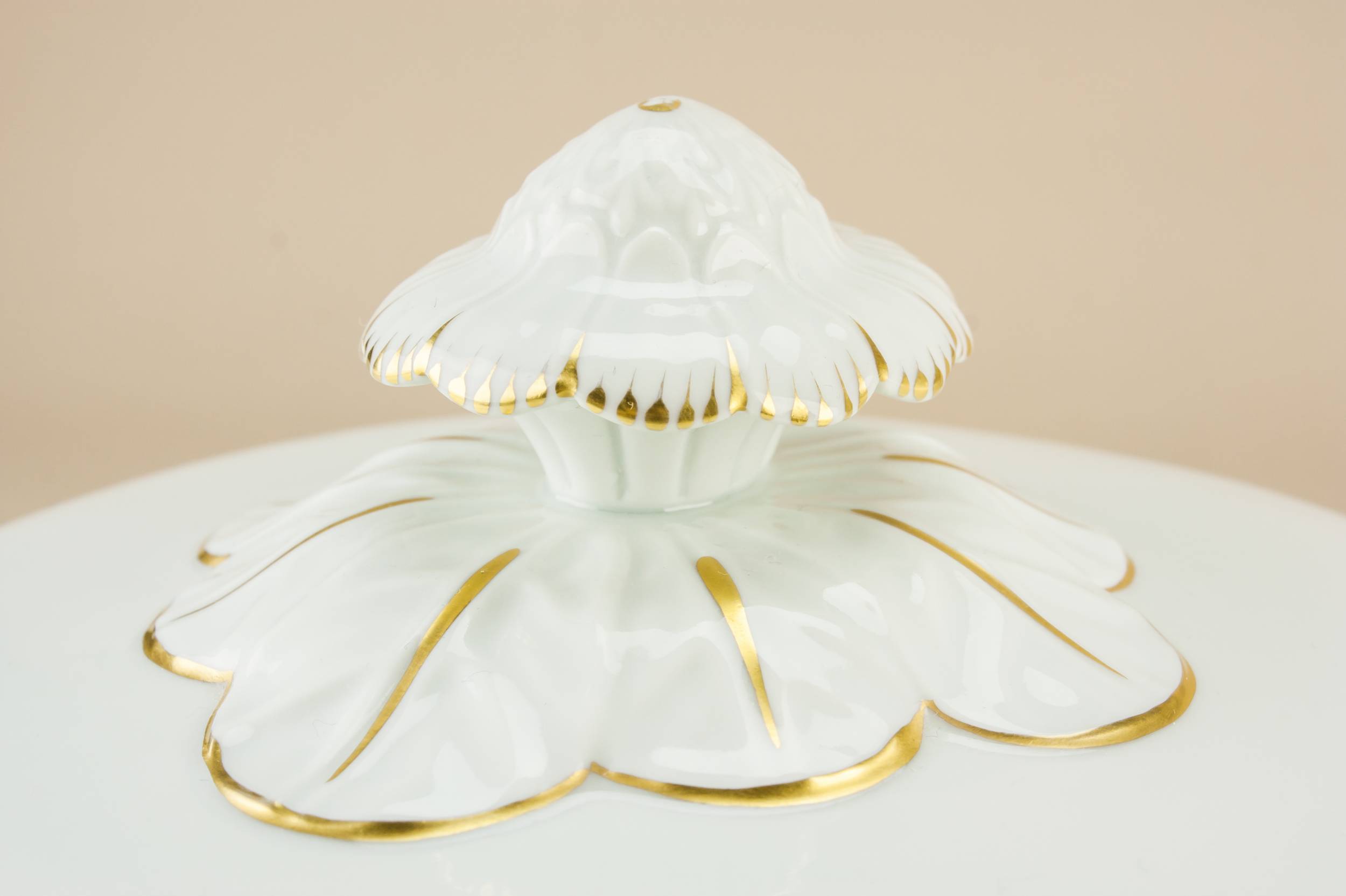 Vintage Porcelain Floral — Vista Alegre porcelain turee 1