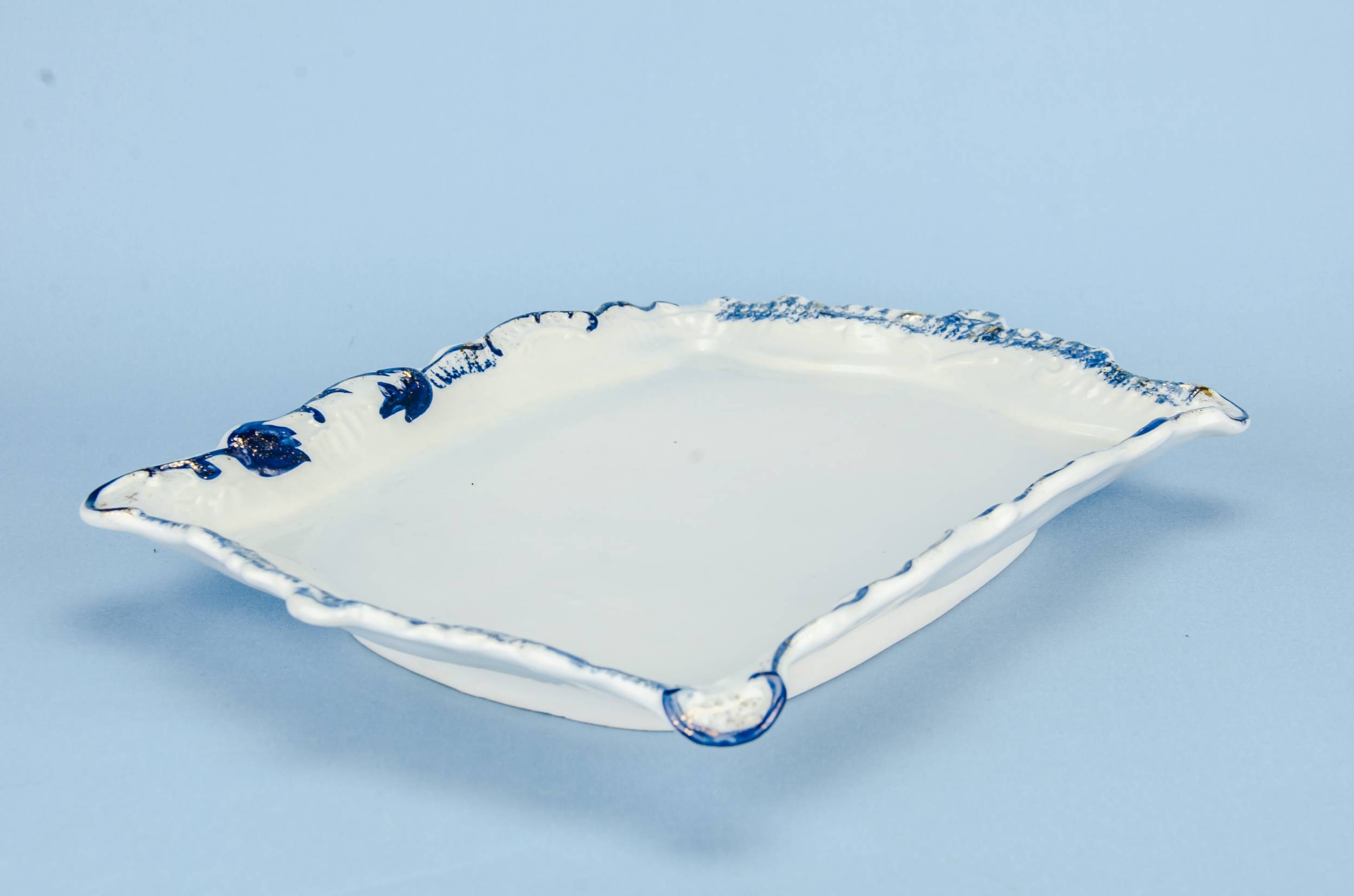 Blue And White — Blue and white cheese dish 2