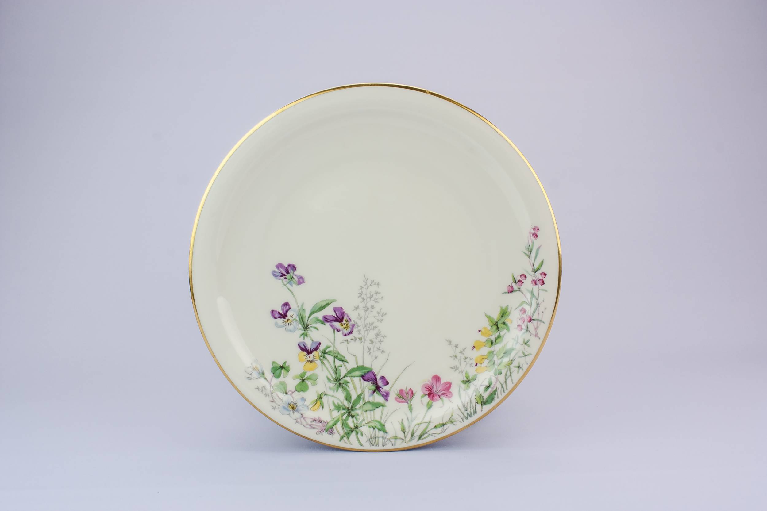 Vintage Porcelain Floral — 6 medium porcelain plates
