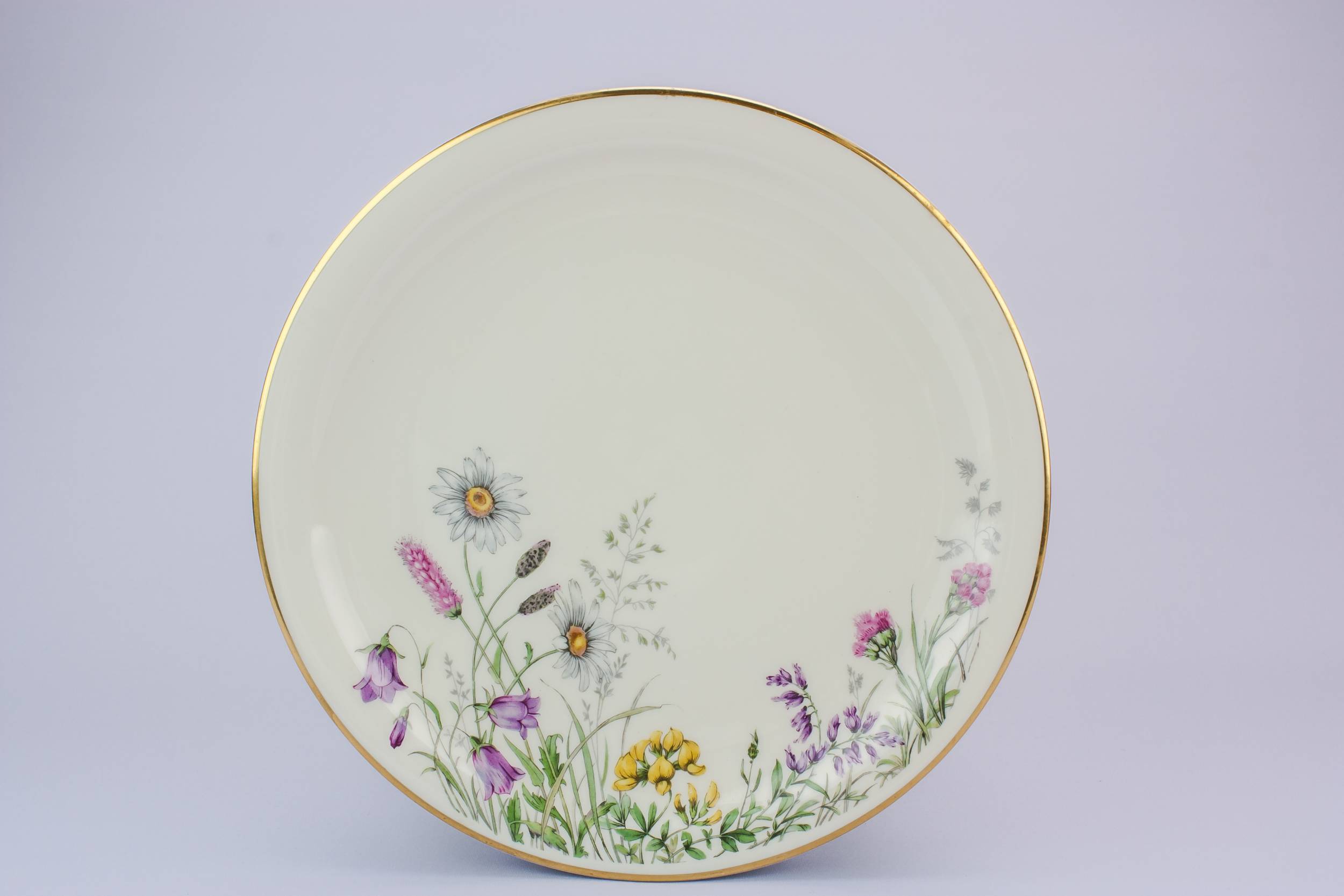 Vintage Porcelain Floral — 6 medium porcelain plates 1