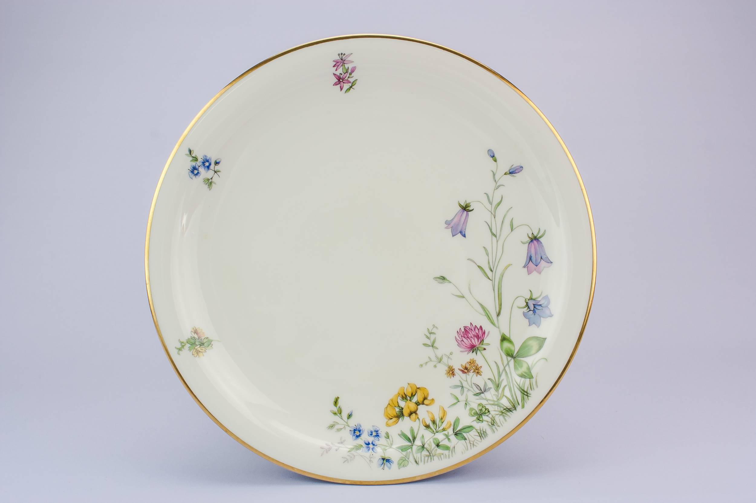 Vintage Porcelain Floral — 6 medium porcelain plates 3