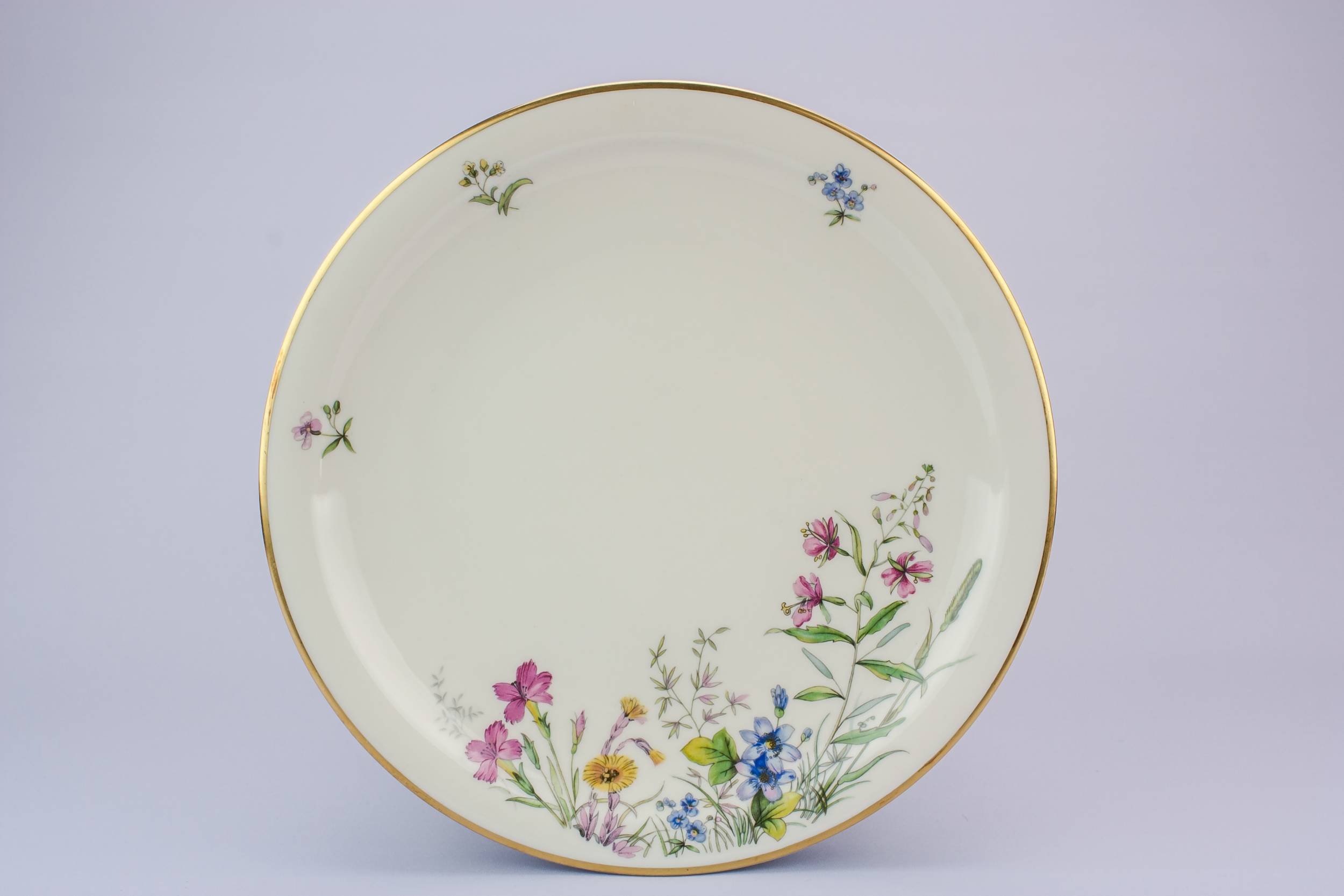 Vintage Porcelain Floral — 6 medium porcelain plates 4