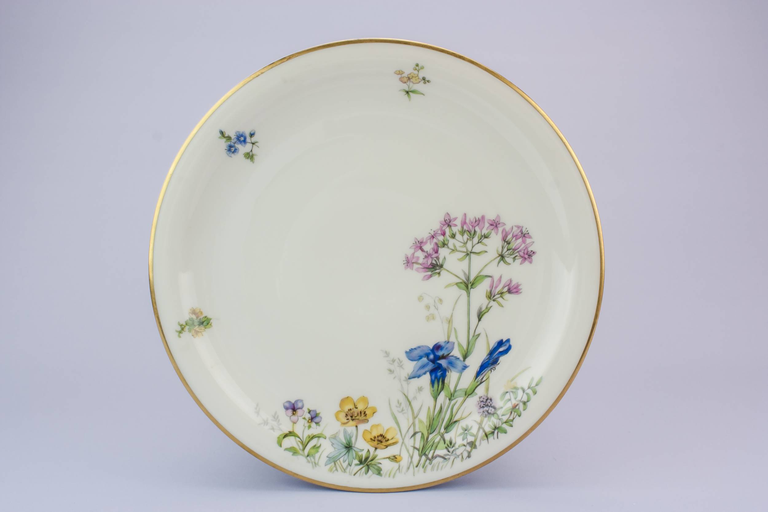 Vintage Porcelain Floral — 6 medium porcelain plates 5