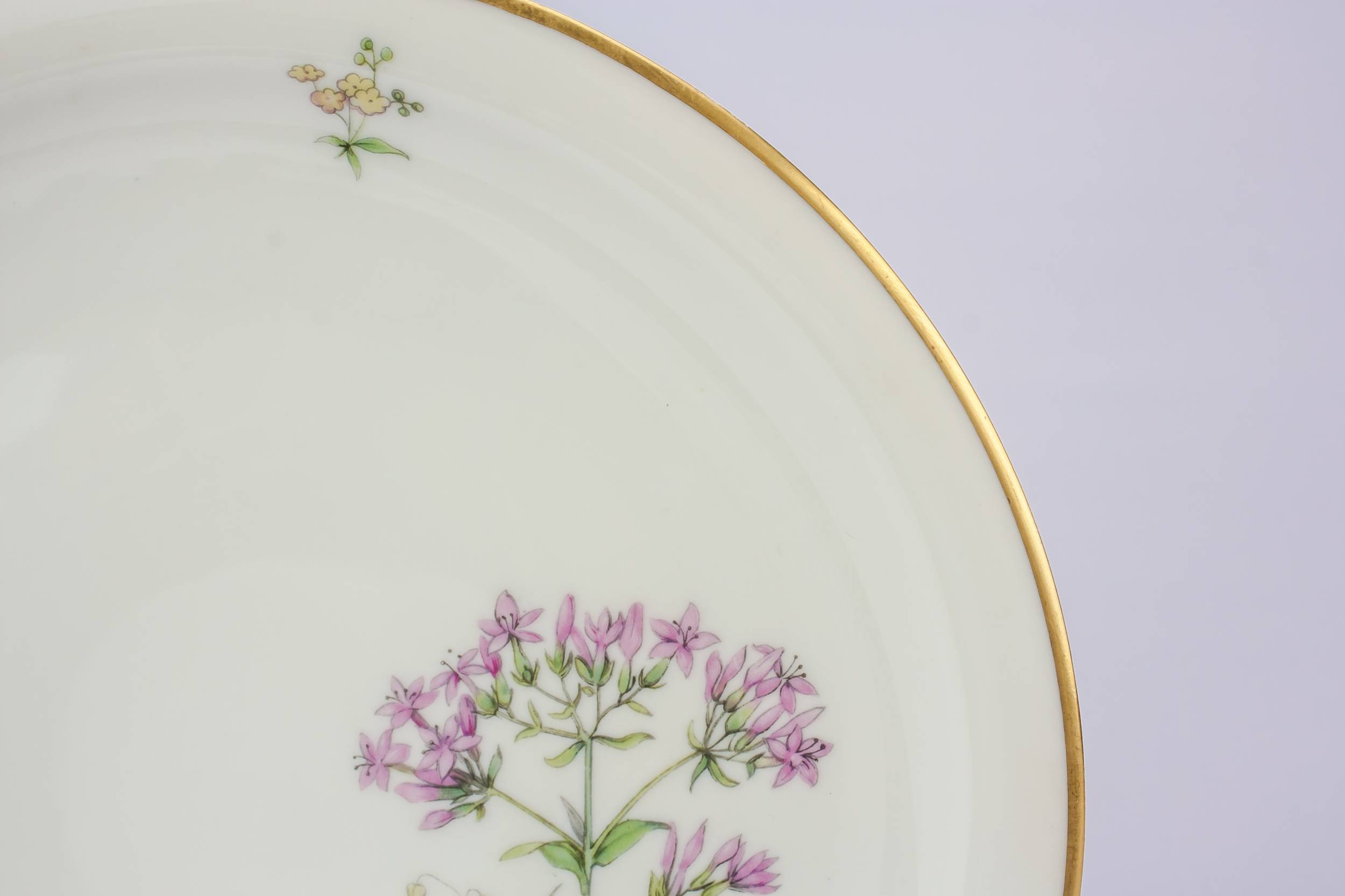 Vintage Porcelain Floral — 6 medium porcelain plates 6