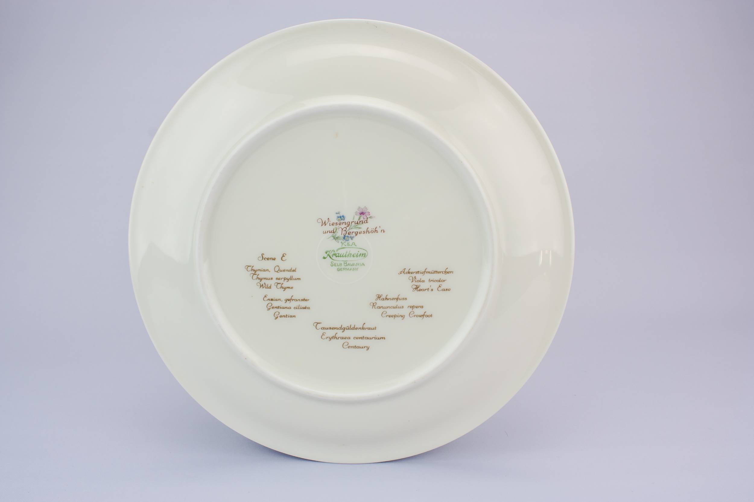 Vintage Porcelain Floral — 6 medium porcelain plates 7