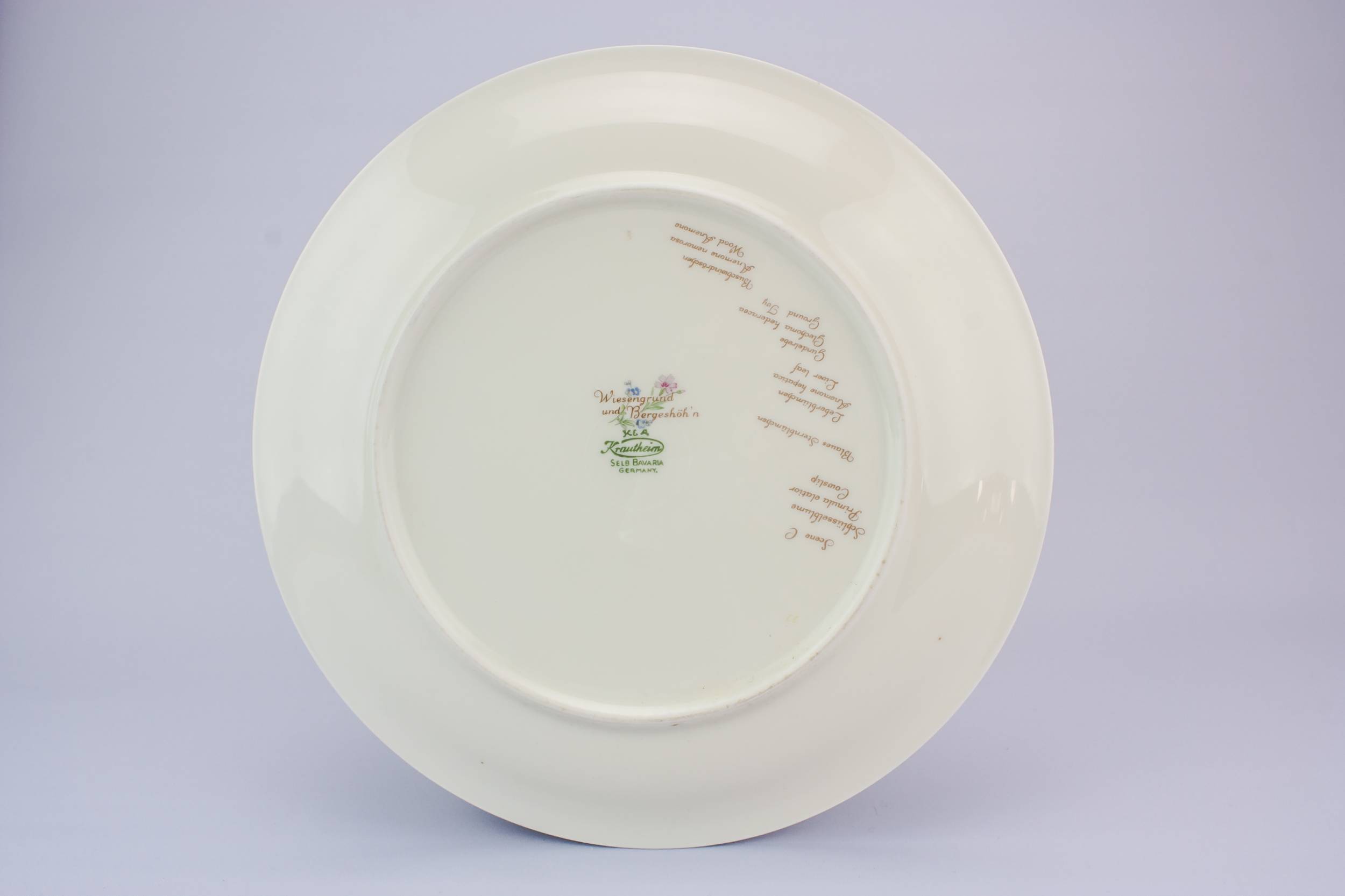 Classical Retro Floral — 6 Krautheim dinner plates 7