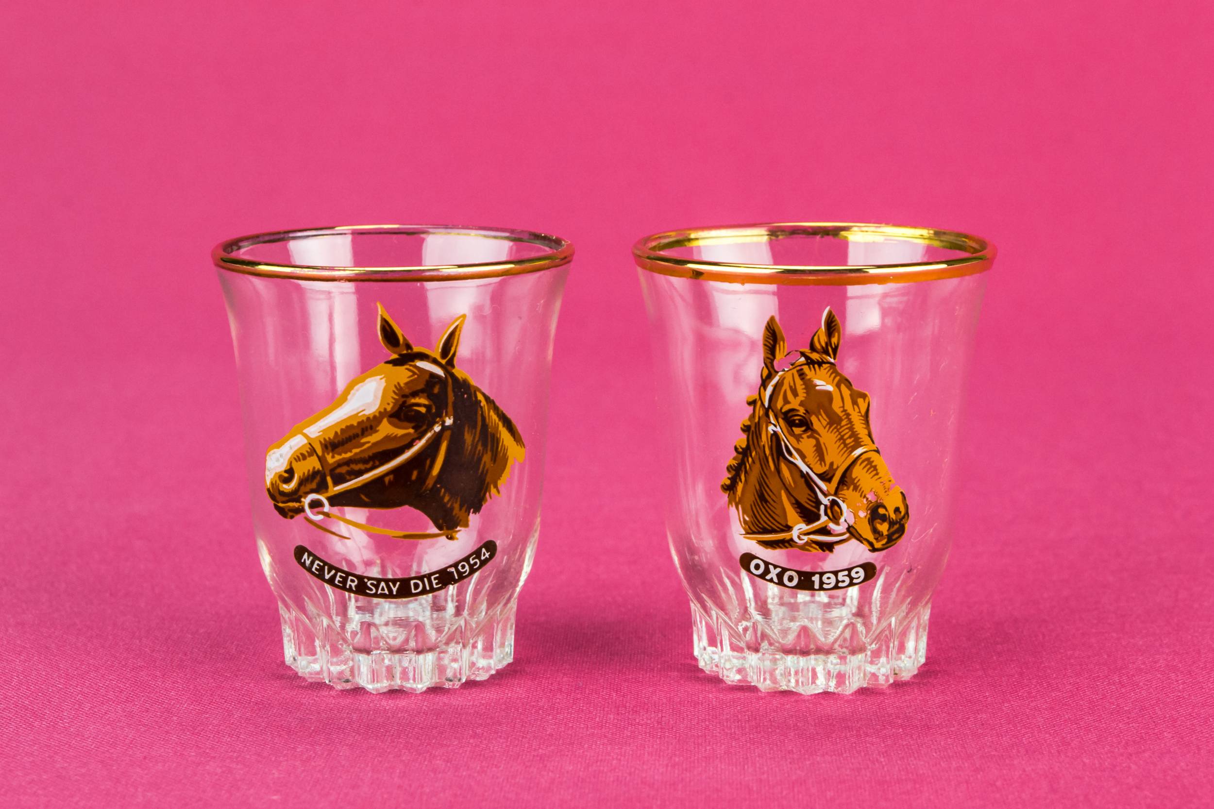 Grand National Horse — 6 Grand National shots 1
