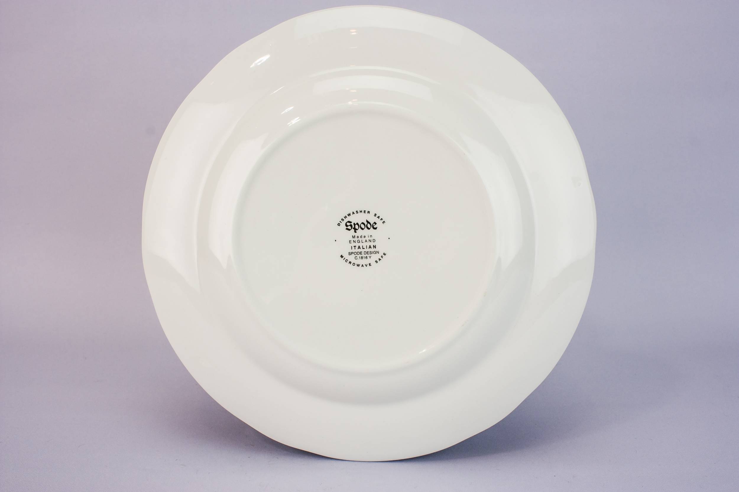 Vintage Luxurious PLATE — Medium Spode pottery plate 2