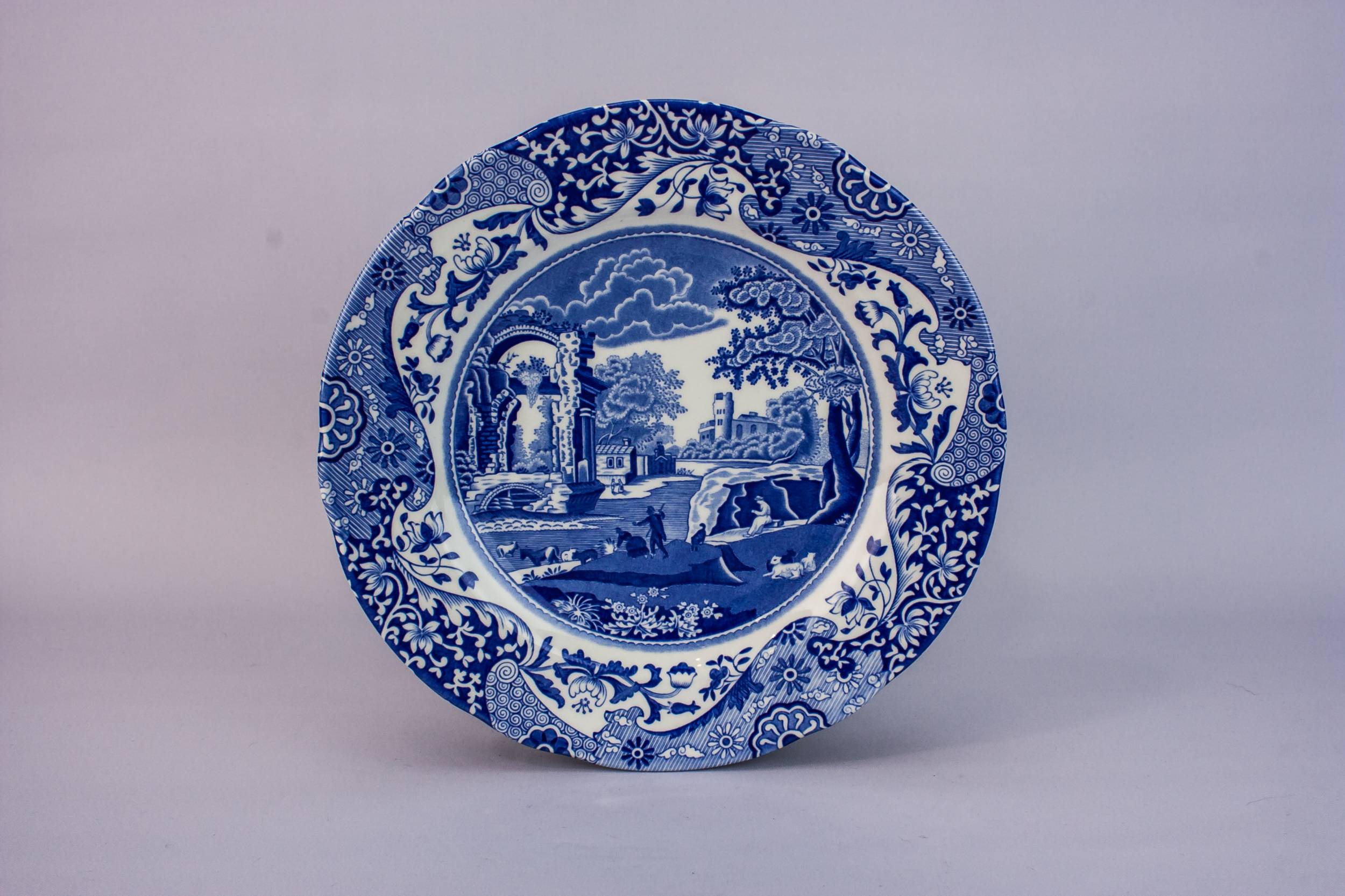 Vintage Luxurious PLATE — Medium Spode pottery plate