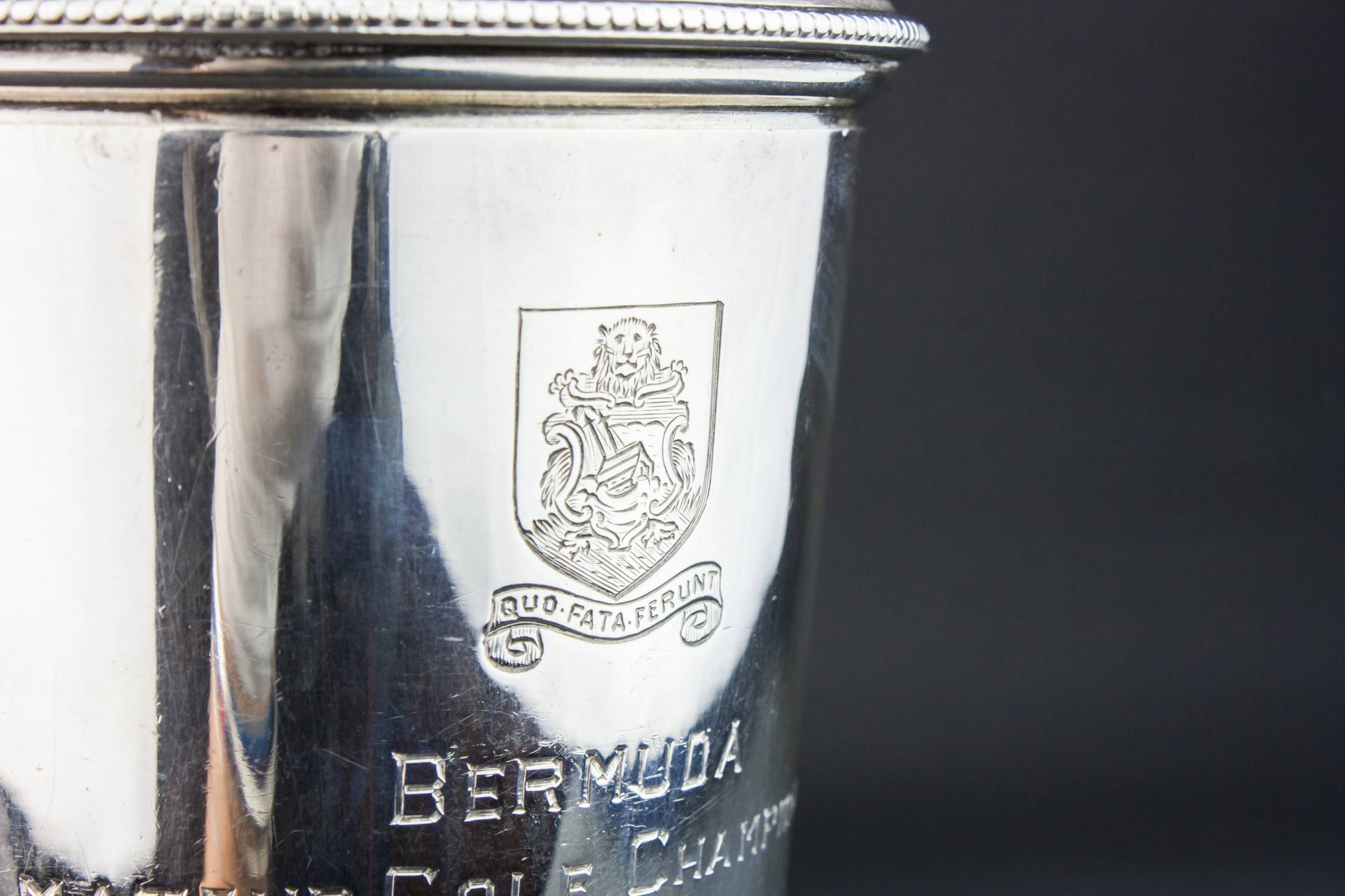 Sterling Silver Cocktail — Silver cocktail shaker 4
