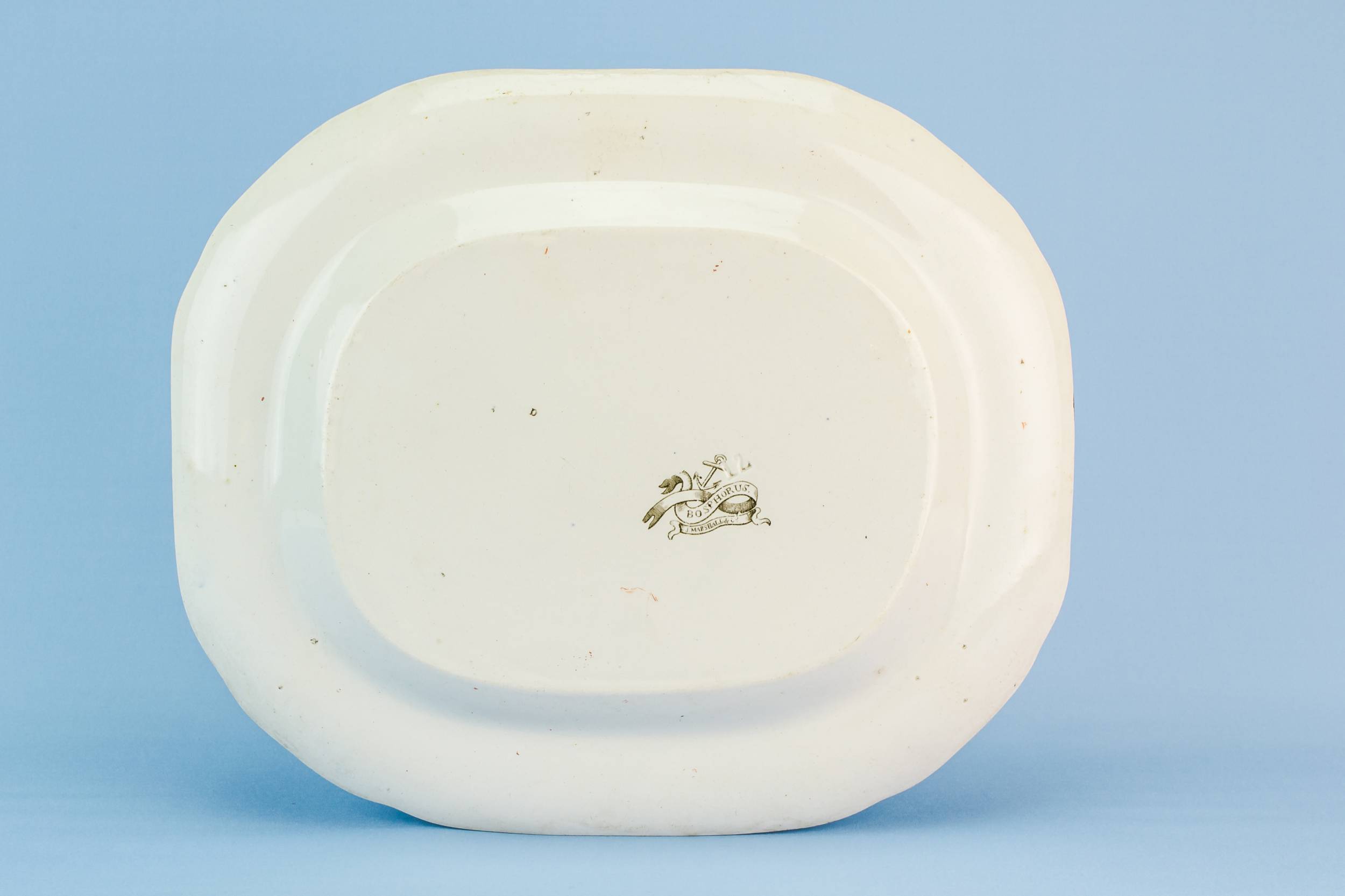 Medium Antique Bosphorus — High Victorian pottery platter 4