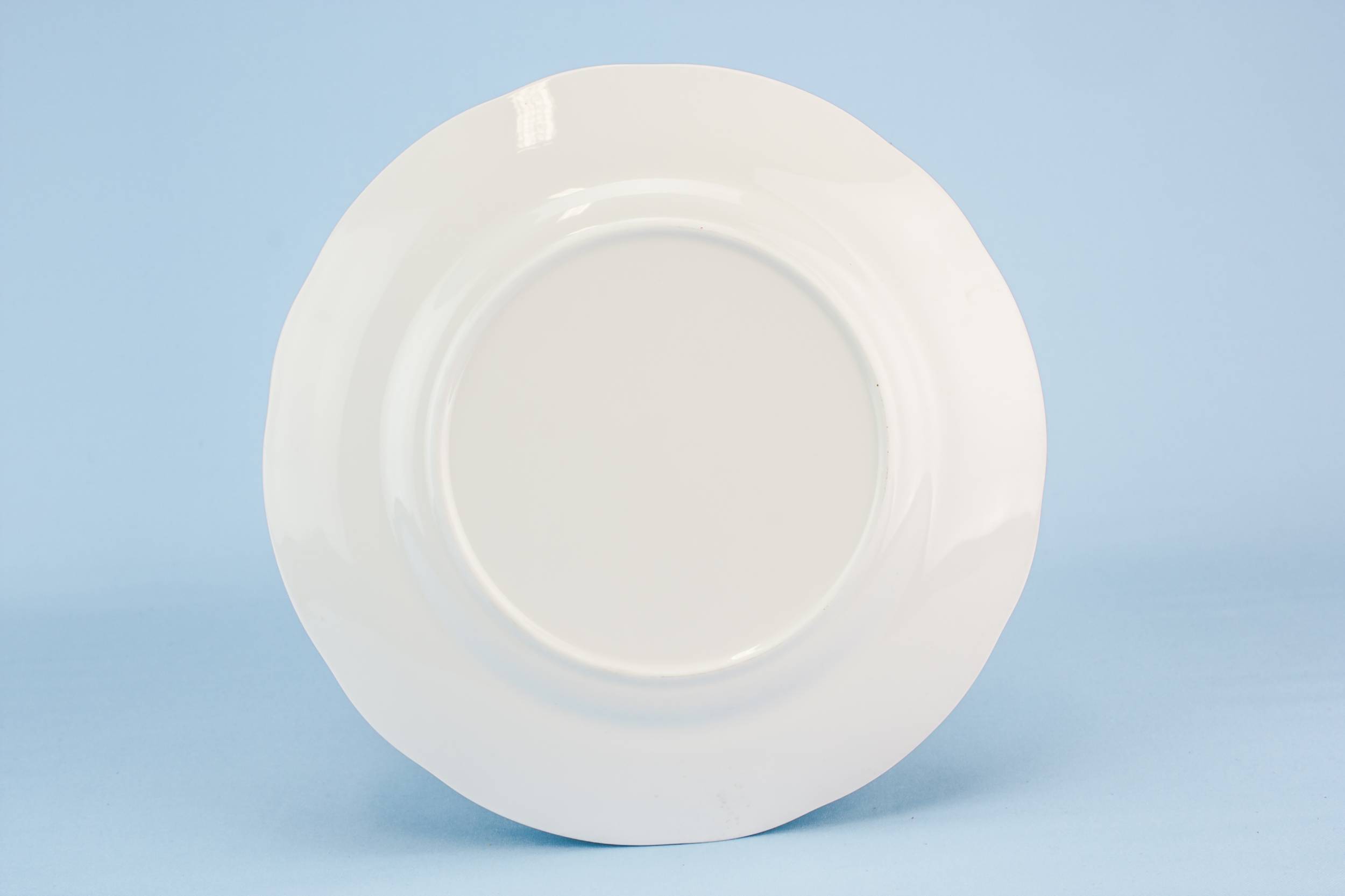 Retro Porcelain Duchess — 6 retro medium plates 2