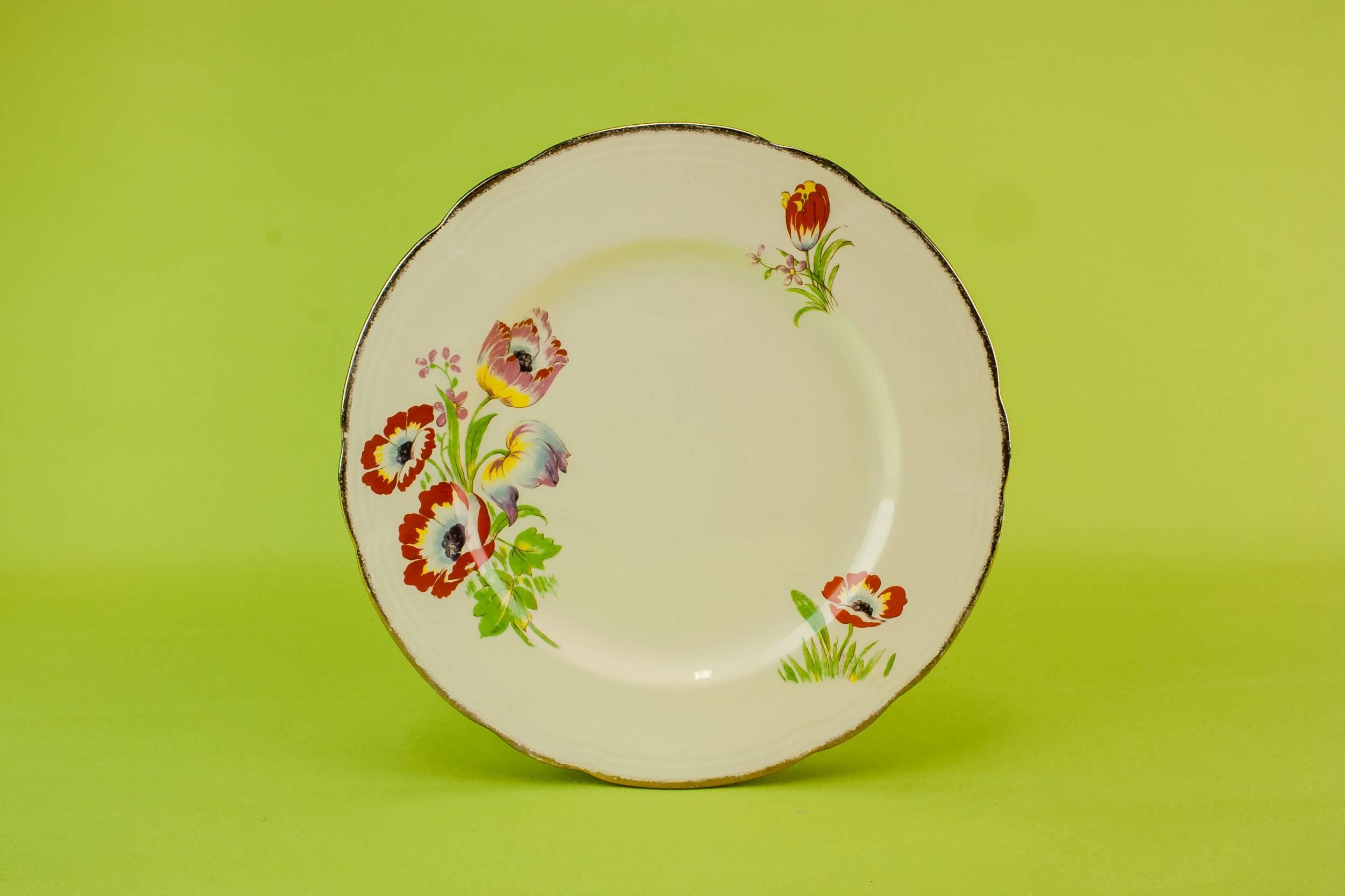 Vintage Charming Tulips — 6 Alfred Meakin pottery plates