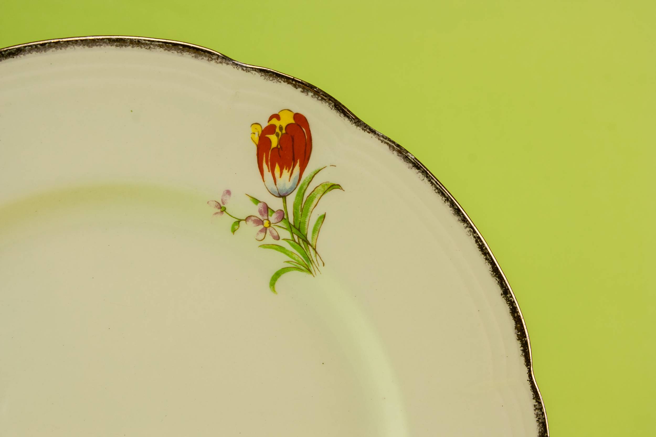 Vintage Charming Tulips — 6 Alfred Meakin pottery plates 1