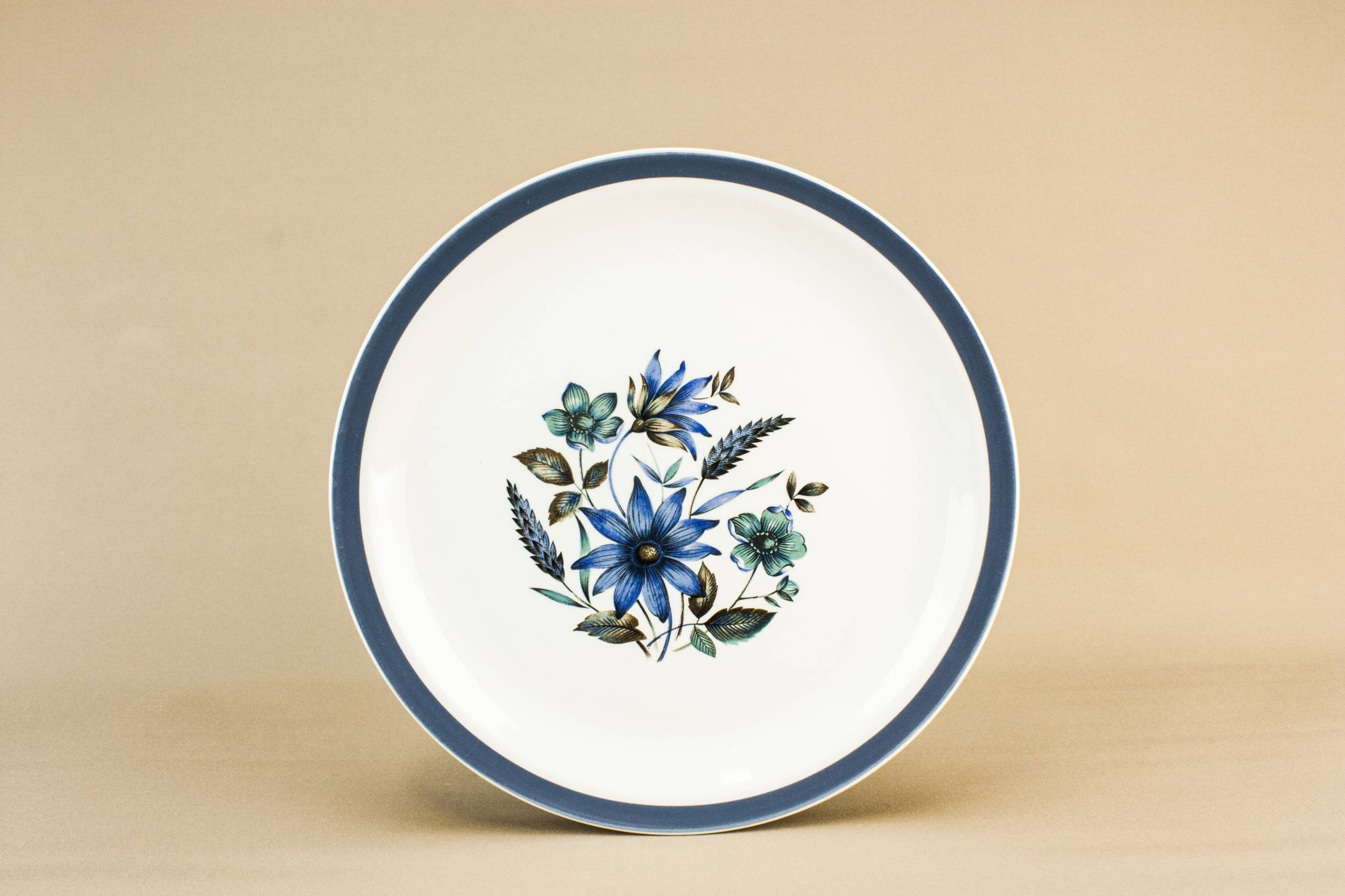 Vintage Beautiful Meakin — 8 Meakin pottery dinner plates
