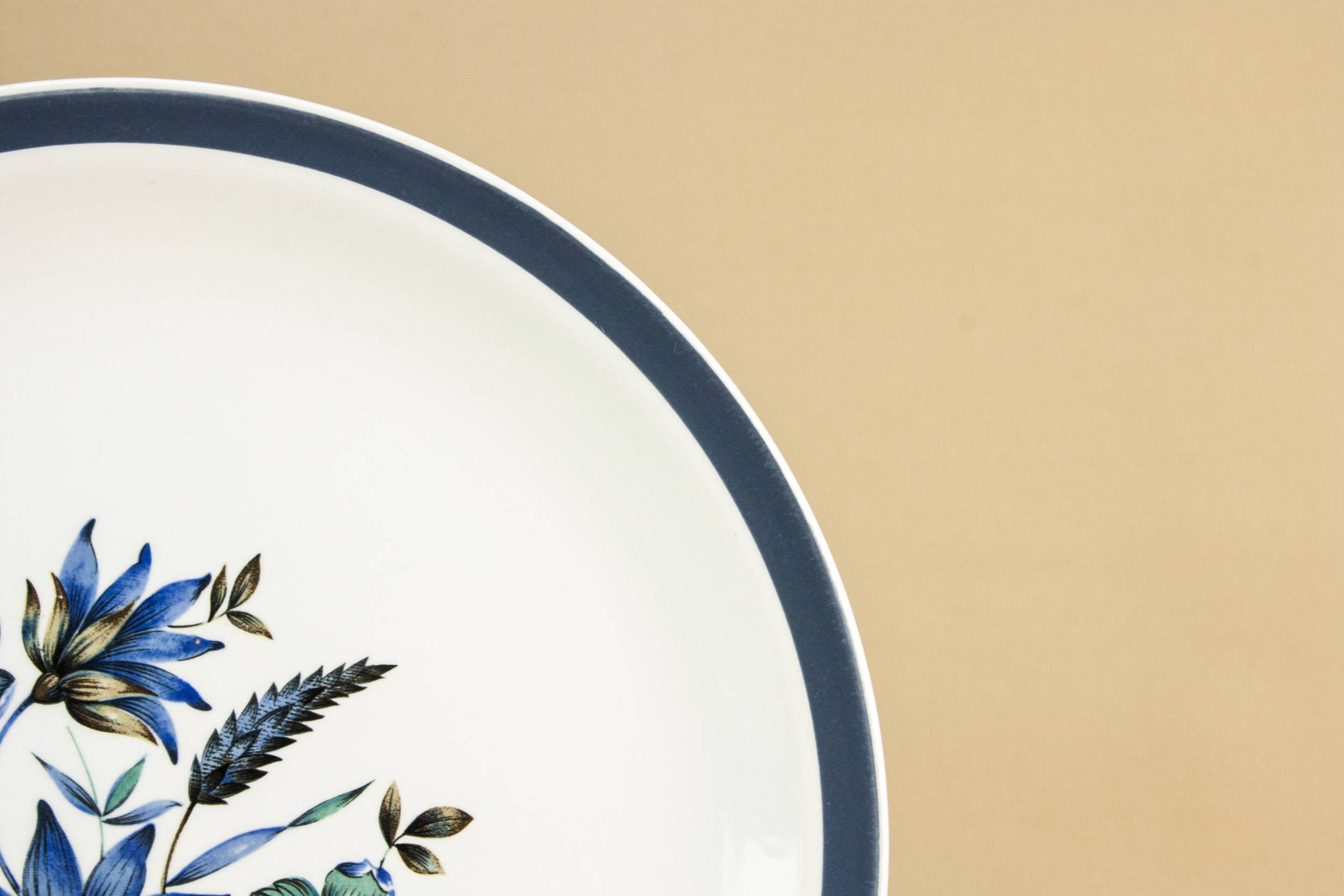Vintage Beautiful Meakin — 8 Meakin pottery dinner plates 1